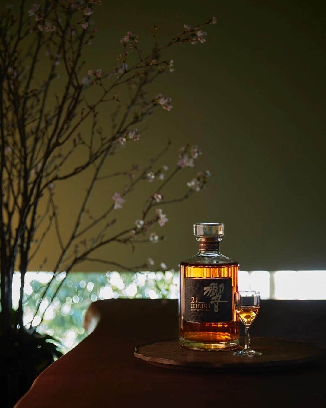 響 | SUNTORY WHISKY HIBIKIさんのインスタグラム写真 - (響 | SUNTORY WHISKY HIBIKIInstagram)「. HIBIKI TIME 麗らかな春の陽射しを感じて Feel the warmth of the pleasant spring sunshine. #響 #hibiki #響時間 #二十四節気 #春分 #春 #桜 #cherryblossom #withnature #suntorytime」3月23日 18時01分 - suntorywhisky_hibiki