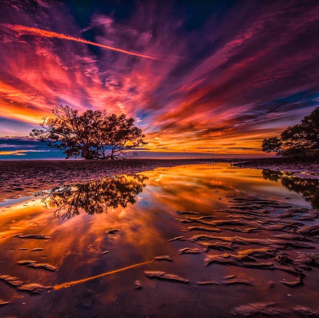 Canon Photographyさんのインスタグラム写真 - (Canon PhotographyInstagram)「An epic sunrise in Australia. This one is on fire!  Photography | @benmuldersunsets  #sunset #sunrise #australia #seeaustralia #visitnsw #reflections」3月23日 18時04分 - cpcollectives