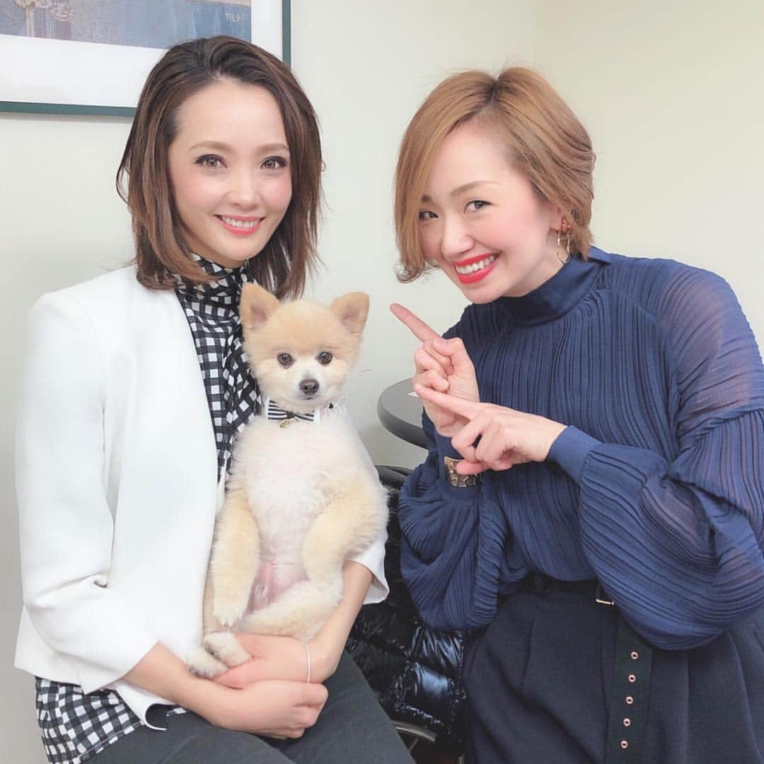 貴千碧のインスタグラム：「ジャジャーンっ！！✨✨ 念願の#ピース 君🐶 いやぁ…可愛かった…本当に可愛すぎました😭❤️ あやさんとピース君と初めてのお仕事は楽しい時間をずっとご一緒させて頂けて最高でした😍✨ 寒い中いらして下さいました皆様、ありがとうございました☺️👏 見よ！！この凛々しいお姿をっ✨🐶✨#カメラ目線バッチリ #可愛く も#イケメン でもある🐶#飼い主にそっくり #CM も#夢じゃない ね❤️ #柴犬カット  だけど#ポメラニアン  だよ😍  #壱城あずさ さん #貴千碧 #ペット#カイロプラクティック #トーク#講演」