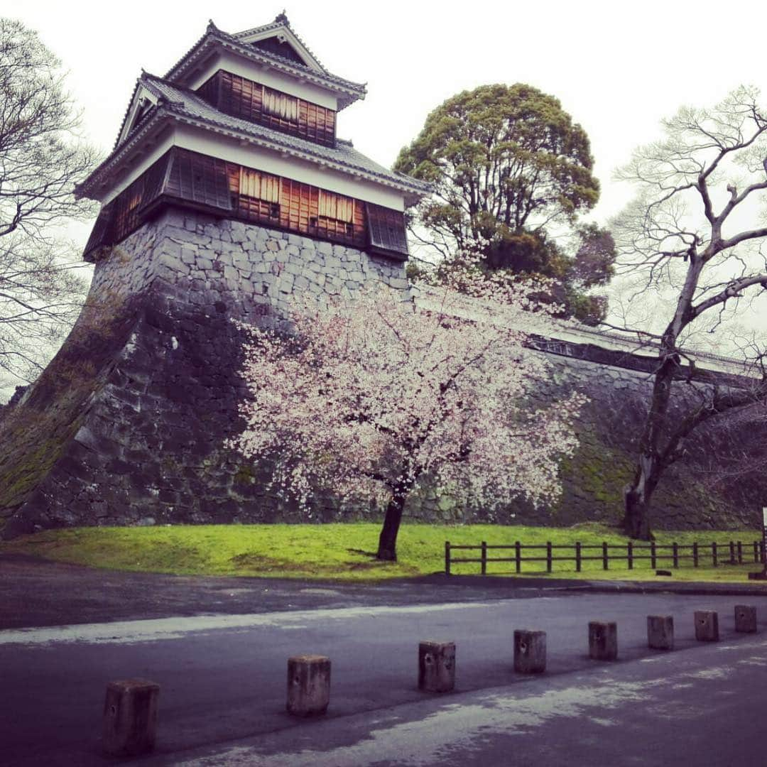 熊本城のインスタグラム