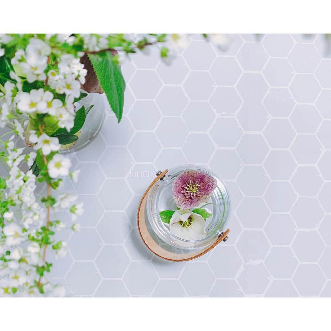 kinaxのインスタグラム