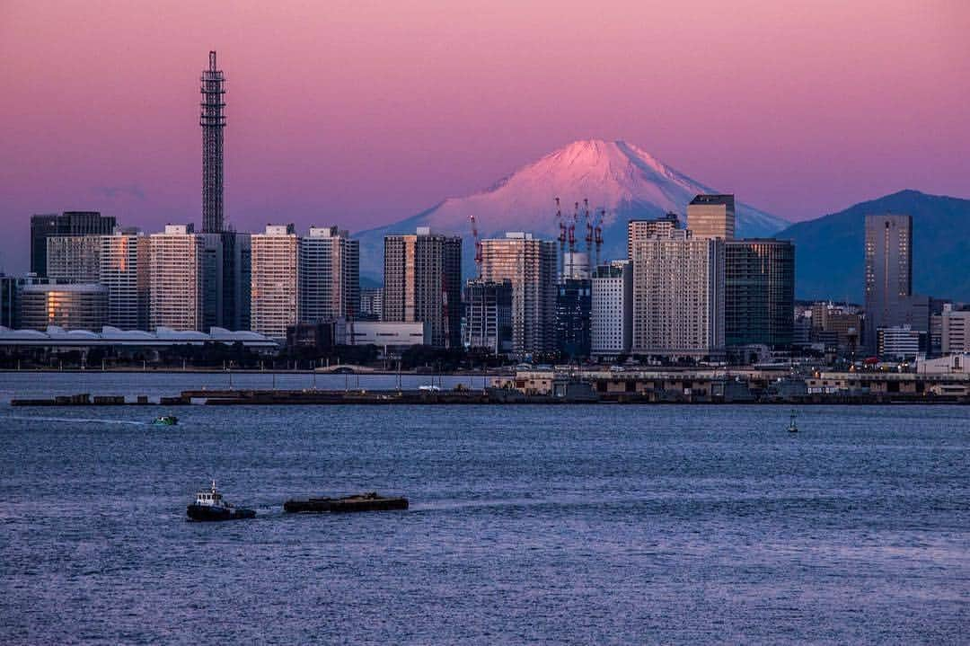 横浜市さんのインスタグラム写真 - (横浜市Instagram)「When Japan's surrounding nature makes our city even more breathtaking. Photo: @kenichi_hayami #myyokohama」3月23日 18時50分 - findyouryokohama_japan