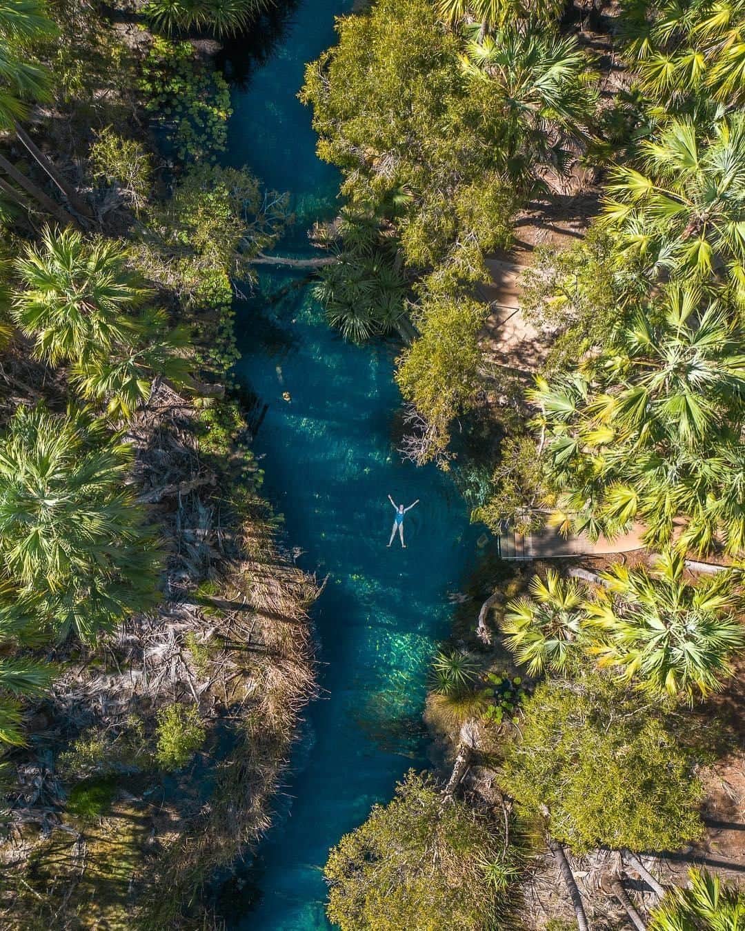 Australiaさんのインスタグラム写真 - (AustraliaInstagram)「A hidden spa with spring-fed thermal pools, tropical surroundings and baby turtles? Booking our trip to @ntaustralia ASAP! @averyaerial_photography captured this aerial perspective of @tourismtopend’s #BitterSprings, a dreamy oasis located in #ElseyNationalPark near #Katherine. A paddle in the warm clear waters here is just what the doctor ordered after a long outback drive or bush walk, and you can join the gentle current to float all the way down from one end to the other (around 200 metres). TIP: BYO pool noodle or hire one from the local caravan park to make this experience even more relaxing 👌  #seeaustralia #NTAustralia #tourismtopend #nature #adventure」3月23日 19時00分 - australia