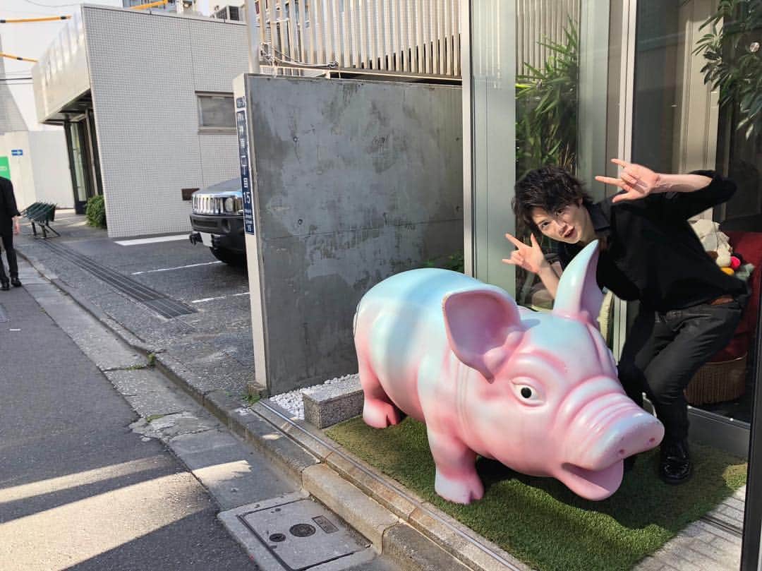 飛田 一樹のインスタグラム：「ブタチャッ🐷🐽🐽🐖🐽 . . #豚ちゃん  #渋谷  #ブー」