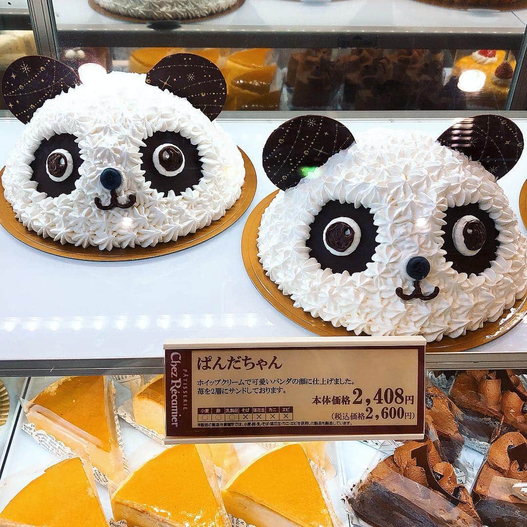 里井真由美さんのインスタグラム写真 - (里井真由美Instagram)「大阪で差し入れのケーキを探していて、目が合ってしまったパンダケーキ🐼ぱんだちゃん🐼→ 小さいパンダ🐼コパンダもいて、迷う〜😭♥️♥️ ・ ・ 中はいちごも🍓入ってるみたい。 迷うぞ迷うぞ ・ ・ お店の方に許可得て撮影、掲載してます♪ ・ ・ #パンダ#パンダケーキ#🐼#ケーキ#スイーツ#大阪##チョコレート#ショコラ#チョコレートケーキ#ショコラケーキ#チョコ#チョコレート菓子#チョコケーキ#チョコレート🍫里井真由美#1級フードアナリスト里井真由美#さといいね#栗スイーツ#デパ地下#ホテルスイーツ#デパ地下スイーツ#ホテル#さといいね」3月23日 19時36分 - mayumi.satoi