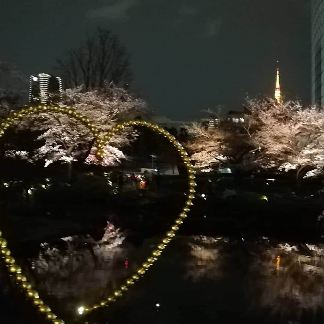千種ゆり子さんのインスタグラム写真 - (千種ゆり子Instagram)「【3/23千種ゆり子の空てんき】 桜ウィーク、存分に楽しむぞっ♥️♥️♥️ . 今日の衣装はトップス#willselection 様、スカート#swingle 様でした✨ . 曇ってても夜なら関係ないので、曇りの日の花見は夜がおすすめですよ。 . 六本木毛利庭園は夜桜が一番良い。 . #桜 #さくら #サクラ #ソメイヨシノ #六本木 #毛利庭園 #テレビ朝日 #テレ朝 #Jチャンネル #japan」3月23日 19時37分 - chikusa_yuriko