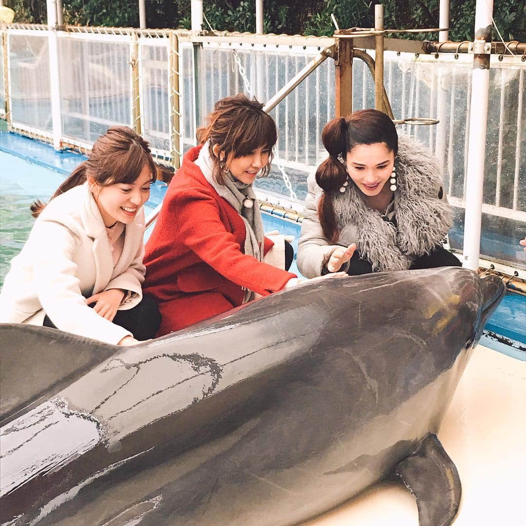 松本伊代さんのインスタグラム写真 - (松本伊代Instagram)「3月21日に放送した東海テレビ「スイッチ」 ロケで鳥羽に行って来ました！ イルカさん🐬に触れてきました〜💕 平野ノラさん、面白かったー😁  #スイッチ #BlackMouton #IKUKO #AdidasHYPERSLEEK #平野ノラ #森夏美アナ #OKバブリー」3月23日 19時51分 - iyo14_official