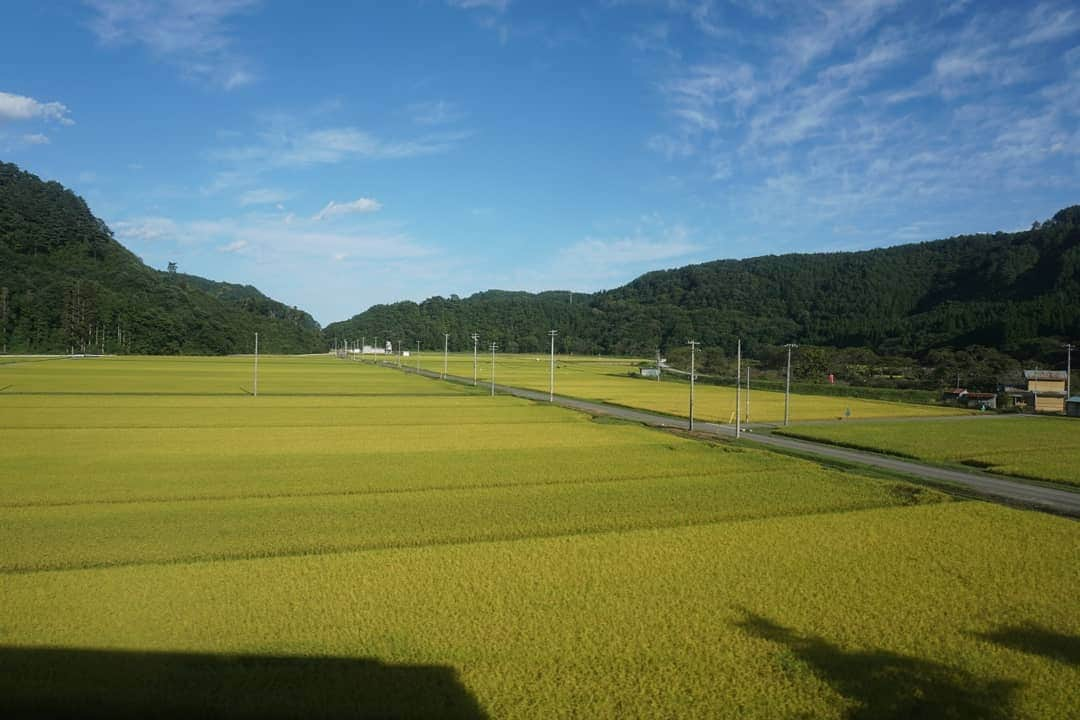 伊藤桃さんのインスタグラム写真 - (伊藤桃Instagram)「いよいよ#三陸鉄道 直通！ 皆様が興味をもっていただけたらなと更新してきた三陸鉄道レポ#北リアス線 編もラストです♥ * 田野畑駅にて、1時間ほど時間があったので、売店のお母さんに1時間くらいで行けるおすすめのところありますか？ ときいたところ、、、 近くにある港を教えてくれました。 * 1-3枚目:誰もいない、初秋の海。 きらきらと光るほんのり冷たい水に、広い空が気持ちよかった…✨ ぼんやりと時が過ぎていきました。 4枚目:青々とした緑がのどか。 * 5枚目:こんなのどかな景色ですが、やはり震災の爪痕はいえていません。 駅前には、津波がここまで到達したという旨の碑がありました。 * 少しのんびりしすぎてしまって急ぎ足で田野畑駅前に戻ってきたら、なんと売店のお母さんが駅の前で待っててくれていました。 『もうすぐ列車がくるのになかなか戻ってこないから大丈夫かなと思って…』という優しさ😳♥ 美しい景色だけではなく優しさにも出会えた#田野畑駅 なのでした。 * 6-7枚目:なんとラッキーなことに！ ここからは#さんりくしおさい に乗れました！ レトロ調のデザインで、高級な旅をしているよう✨ * 8-9枚目:広い窓で、存分に北リアス線の山景色をたのしむことができました！ * 10枚目:そして宮古駅に到着(*^^*) この落ちないにゃんこ神社 は、ホームにぶら下げていた猫の置物が震災でも落ちなかったことに由来しているそうです✨ かわいい＼(^o^)／ * ここからは、本日直通した宮古駅から釜石駅までのバスの写真をのせます✨続 * #東日本大震災から8年 #東日本大震災を忘れない」3月23日 20時01分 - itomomo_tetsu