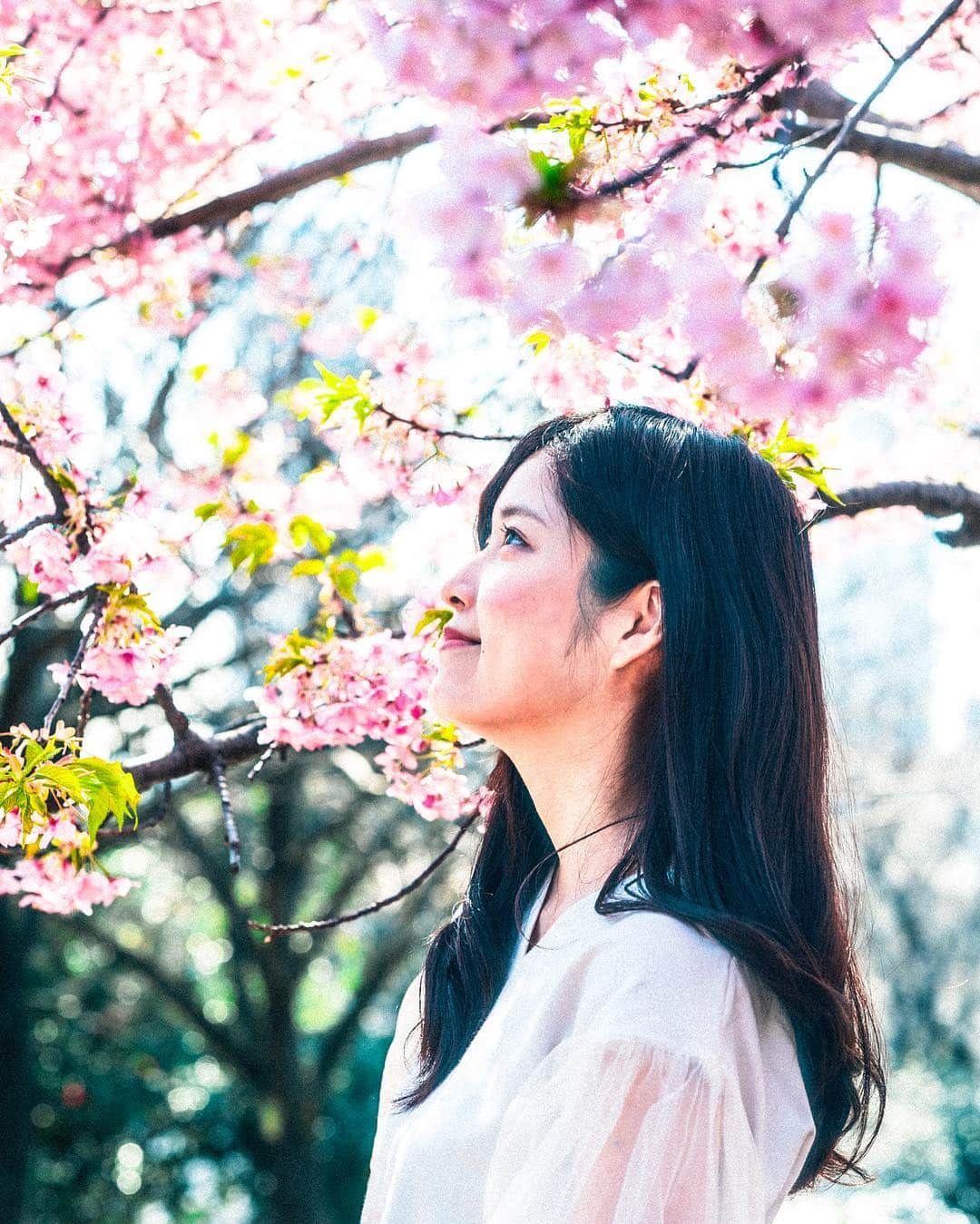 真原彩さんのインスタグラム写真 - (真原彩Instagram)「・ ・ 桜ポートレート🌸 ・ ・ ・ 今日は朝から撮影でした！ お知らせできるようでしたら させていただきますね！ ・ それまでフォローして待っててもらえたら嬉しいです😉笑 ・ ・ ・ ・ ・ ・ 📸@m.sue___ ・ ・ ・ ・ ・ #河津桜 #作品撮り  #被写体 #jpn  #impression_shots  #japanesemodel  #その瞬間に物語を  #jp_portrait部  #お写んぽ  #カメラ好き  #jp_mood  #excellent_portraits  #ポートレート撮影  #ポートレート部  #ポートレート女子 #ポートレートモデル #daily_photo_jpn  #カメラのある生活  #portraitofjapan  #東京カメラ部  #hueart_life #smile_jp  #photogram_archive  #pt_life_  #japan_portrait_club  #デジタルでフィルムを再現したい  #ポトレ  #ぽーとれーと #일본인  #팔로우」3月23日 20時47分 - sanahara_aya