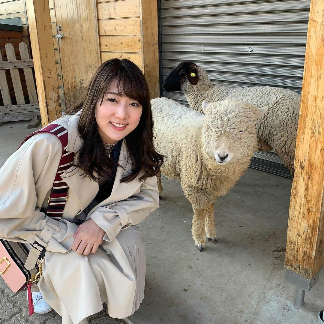 佐々木もよこさんのインスタグラム写真 - (佐々木もよこInstagram)「明日のラジオ番組『カメレオンパーティー』内の構成、作家、演出、出演、音決め、全てセルフプロデュースするミスカメレオンについての最終詰め中😌💓﻿ ﻿ 3年間、毎週やらせて頂いていることに感謝❤️﻿ ﻿ リスナーの皆様に「おもしろい！」「たのしい！」って言ってもらうことが、いつからか「かわいい」より嬉しくなっている自分がいました☺️☺️✨﻿ ﻿ かわいいもうれしいよっっ☺️💓💓💓﻿ ﻿ ﻿ 明日のFM NACK5 『カメパ』🎉﻿ 大宮アルシェから12:55〜17:55まで﻿ 公開生放送してるから、﻿ お時間ある方は見に来てください😊🍕❤️✨﻿ ﻿ チャンネルはFM 79.5だよっ🐶🦊🐱🐷🐸🐹﻿ ﻿ ﻿ . . . . #羊#ひつじ#ファッション#動物#カメパ#sheep#animal#sheeps #fashion#ootd#coordinate」3月23日 20時54分 - moyoko_atom