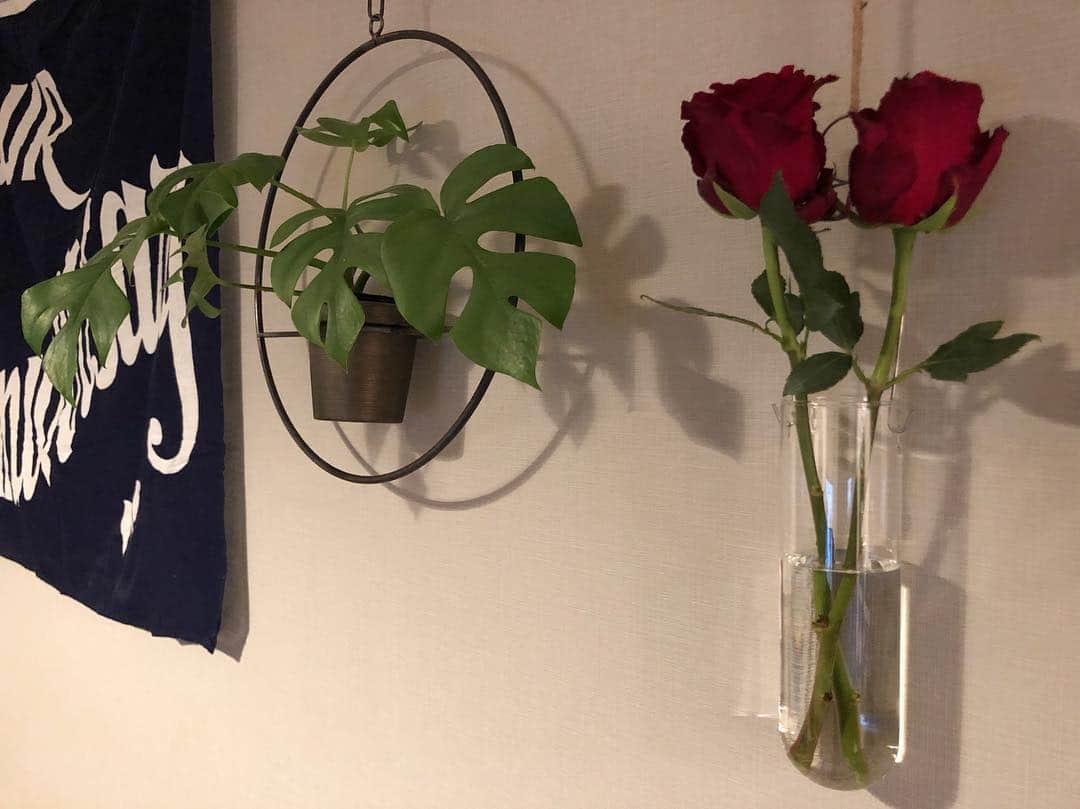 のインスタグラム：「😌 #ChocomooLoves🌳🌵🌿🌼」