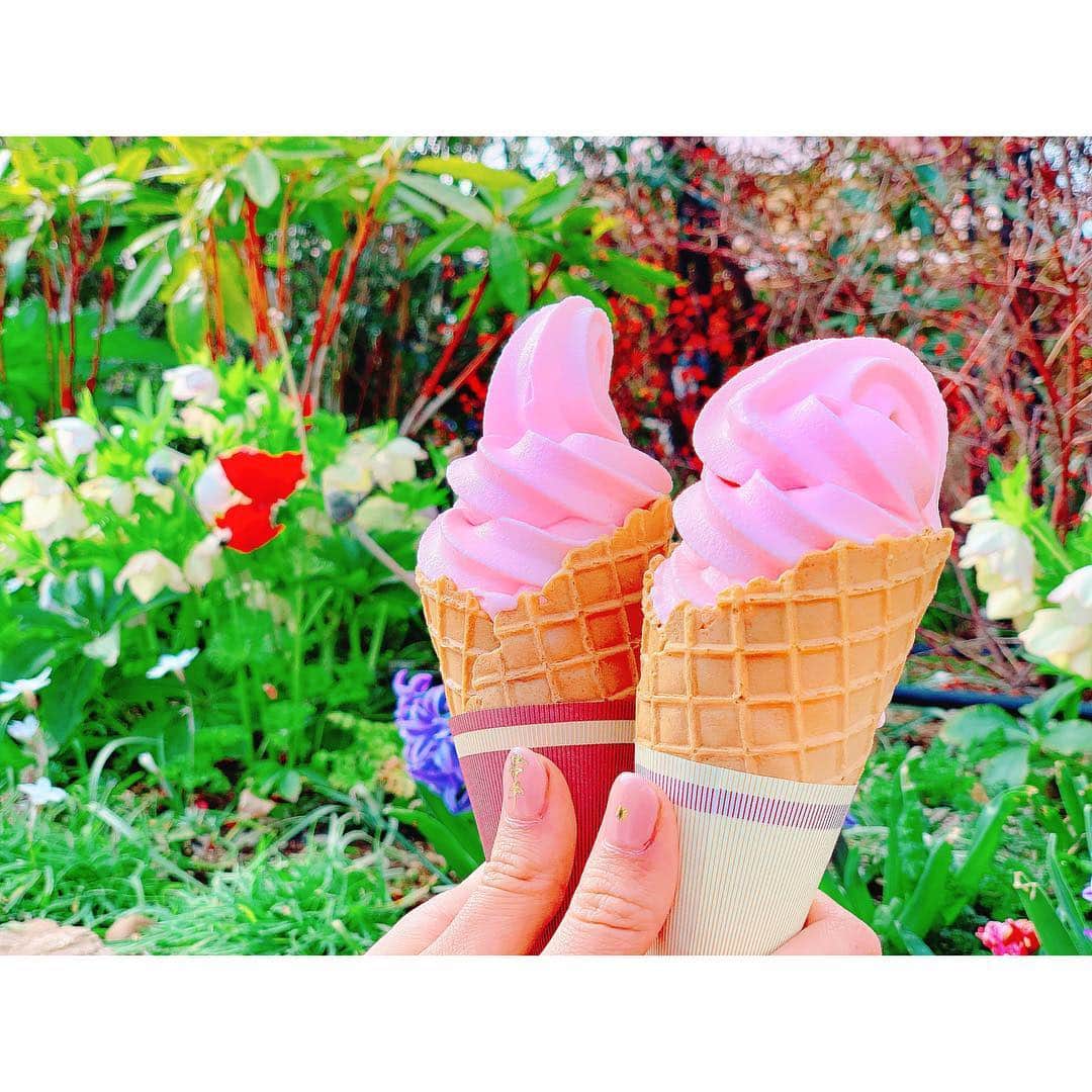 馬嘉伶さんのインスタグラム写真 - (馬嘉伶Instagram)「🍵 #spring #happy #weekend #sunny #🌞 #pink #icecream  #roseicecream #🌹🍦#🍦#💓」3月23日 21時44分 - macyacyarin