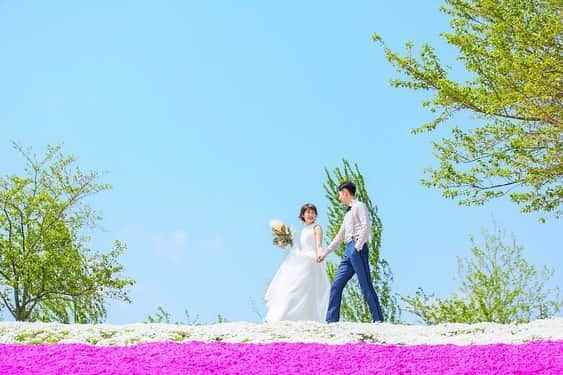 スタジオAQUA 横浜店さんのインスタグラム写真 - (スタジオAQUA 横浜店Instagram)「芝桜や菜の花がとっても人気の『ドイツ村』での撮影です！ . まんべんなく敷き詰められたピンク色の芝桜。 2人の背後まで広がり、春らしく可愛らしい一枚に🌸 . .  横浜から約1時間で到着する『ドイツ村』 . お花畑と一緒に撮りたい方にオススメのスポットです！ . . ♡ スタジオアクア横浜みなとみらい店➡︎ 045 620 6338 ☎︎ . . フォトグラファー▶︎ @r.takeuchi_studioaqua  #ウェディングフォト  #前撮り  #ウェディングニュース #locationphoto #ウェディングヘア #花嫁準備 #instgood#結婚準備 #スタジオアクア #結婚式準備 #ロケーション撮影 #instawedding #結婚写真 #weddison #フォトスタジオ #ブライダルフォト #関東花嫁 #プレ花嫁 #卒花 #写真で伝えたい私の世界  #2019夏婚 #関西花嫁 #ファインダー越しの私の世界  #全国のプレ花嫁さんと繋がりたい #結婚 #花嫁diy #卒花嫁  #ウエディング  #結婚式準備 スタジオ公式アカウントはこちら▶︎ @decollte_weddingphoto  @studioaqua_yokohama」3月23日 21時50分 - studioaqua_yokohama