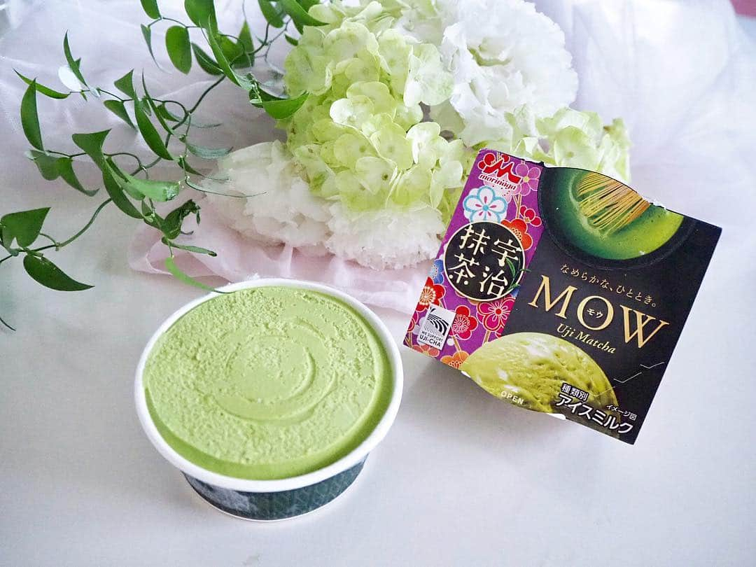 こままりえさんのインスタグラム写真 - (こままりえInstagram)「✴︎ MATCHA ice cream🍨🌿 . みんな大好きな森永乳業の #pino #PARM #MOW #蜜と雪 の 4種の抹茶アイスのパッケージデザインが 3/25より素敵にリニューアル☺️🌿 この和モダンな感じ好きだなぁ〜💗 . 京都の宇治茶畑を #世界文化遺産 に 推進するプロジェクトとして パッケージを同時にリニューアルするそう✌️ . お先に全種類食べてみたけど 私はとくに新発売のピノの 蔵出し熟成宇治抹茶が好きでした😋 見かけたら是非手にとってみて下さい💓💕 . #宇治茶 #抹茶 #抹茶アイス #PR #matcha #matchaicecream #icecream #森永乳業 #アイスクリーム #アイス #スイーツ #抹茶スイーツ #宇治抹茶 #リニューアル #ピノ #モウ #パルム #蔵出し熟成宇治抹茶 #京都 #宇治茶畑 #世界遺産登録 #抹茶づくし #抹茶好き #抹茶好きな人と繋がりたい #花のある幸せ時間」3月23日 21時51分 - komamarie