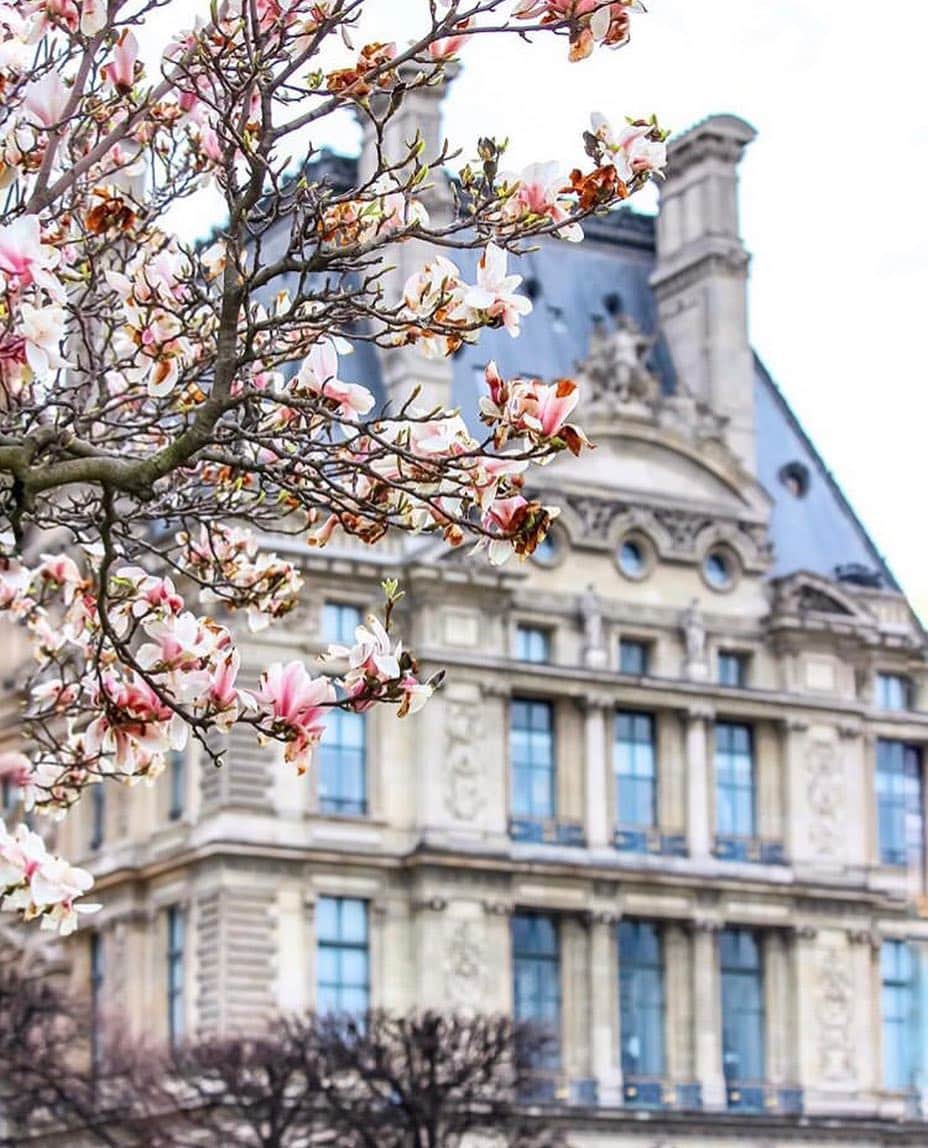 のインスタグラム：「. 🇫🇷 Le printemps est bel et bien installé 🤗 Merci @lydie_picturezz pour cette belle composition florale 🌸 Bon week-end à toutes et à tous ! . 🌎 Spring is definitly here! 🤗 Thanks @lydie_picturezz for this beautiful floral composition 🌸 Have a sweet weekend all! . . . #MuséeDuLouvre #Louvre #LouvreMuseum #Spring #TuileriesGarden #Tuileries」