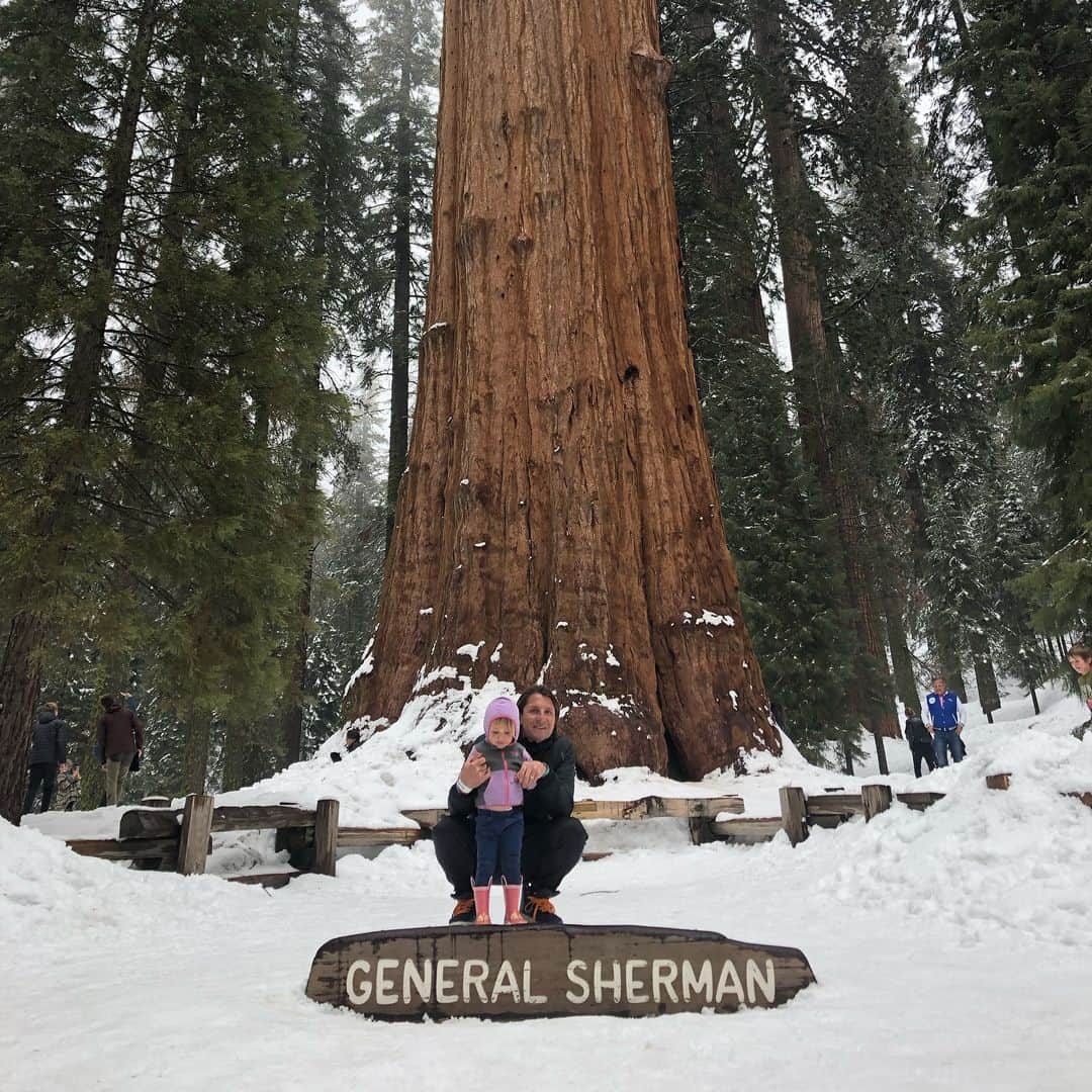 トニー・アゼベドのインスタグラム：「Biggest tree in the world! #generalsherman #family #sequoianationalpark」