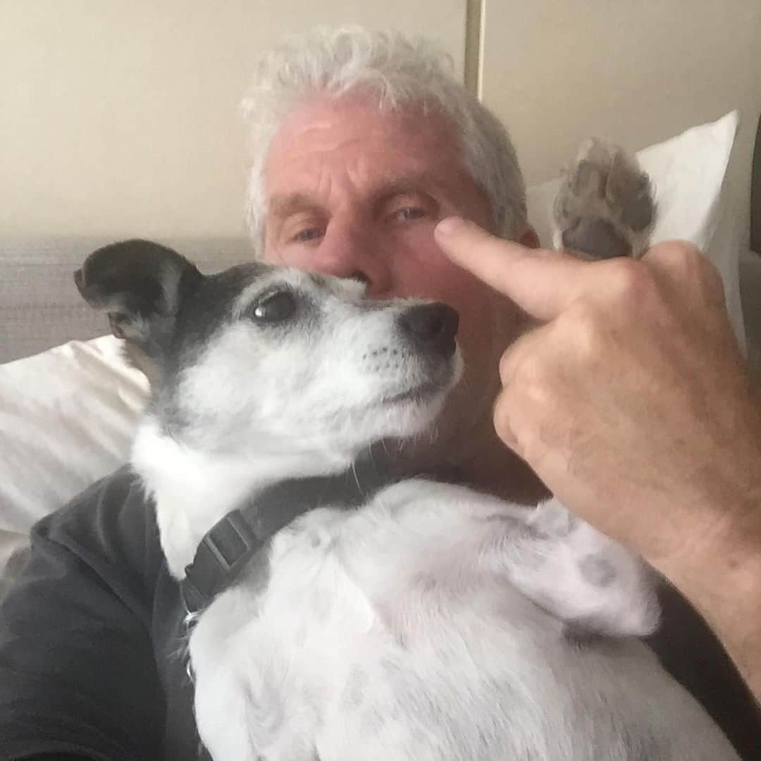 ロン・パールマンさんのインスタグラム写真 - (ロン・パールマンInstagram)「All! ALL the puppies! #nationalpuppyday」3月23日 23時37分 - perlmutations