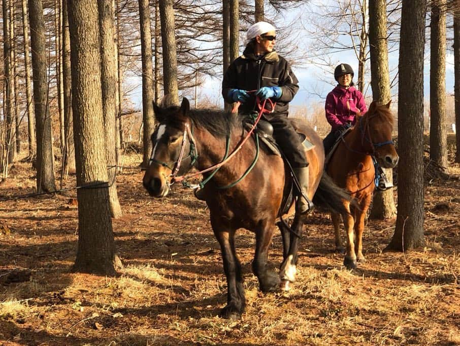 土井コマキさんのインスタグラム写真 - (土井コマキInstagram)「幕別町で初めて馬に乗ったというか、馬が私を乗せてくれた。林を抜けて丘に登ったよ。途中、道草して生えてる笹をむしゃむしゃしてた、可愛い良い子。馬の高さから見る世界は本当に美しかった。 #こまきっぷ  #北海道 #ひがし北海道  #十勝 #幕別町  #ノースポールステイブルヒルカワ  #ノースポールステイブル #初挑戦コレクション」3月23日 23時39分 - doikomaki