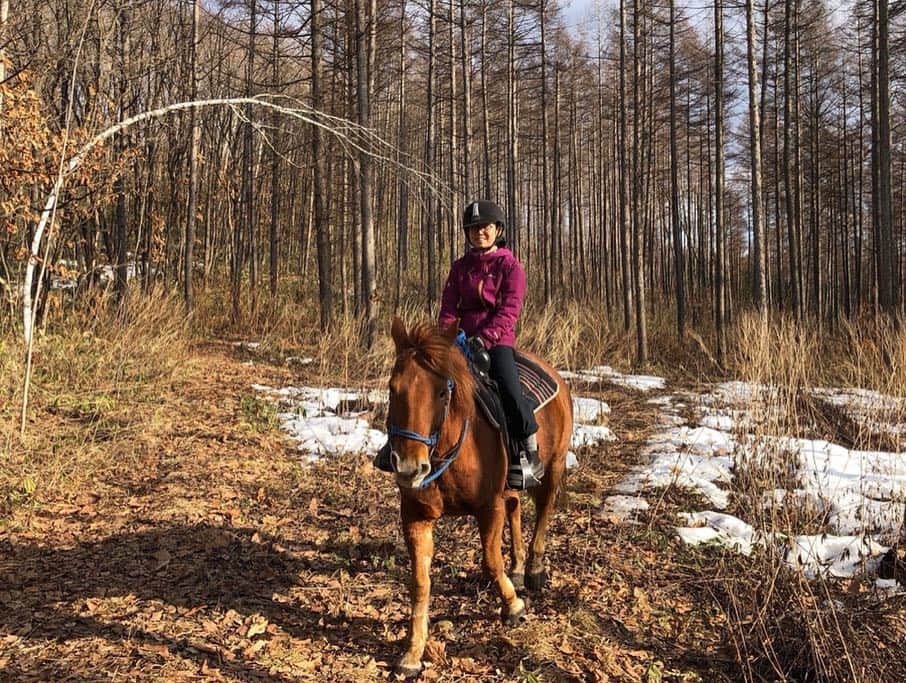 土井コマキさんのインスタグラム写真 - (土井コマキInstagram)「幕別町で初めて馬に乗ったというか、馬が私を乗せてくれた。林を抜けて丘に登ったよ。途中、道草して生えてる笹をむしゃむしゃしてた、可愛い良い子。馬の高さから見る世界は本当に美しかった。 #こまきっぷ  #北海道 #ひがし北海道  #十勝 #幕別町  #ノースポールステイブルヒルカワ  #ノースポールステイブル #初挑戦コレクション」3月23日 23時39分 - doikomaki