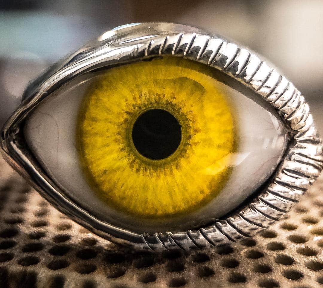 クレイジーピッグさんのインスタグラム写真 - (クレイジーピッグInstagram)「Keep an eye out 🤫👀 LASH EYE RING! Choose your colour eye in Human or Cat eyes 👁 ▪️ ▪️ ▪️ #eyes #eyeshadow #ring #silver #scary #yellow #premium #lashes #colour #creepy #horror #evil #wild #tattoo #icon #gothic #animal #black #heart #artistsoninstagram #glow #creative」3月23日 23時50分 - crazypigdesignslondon
