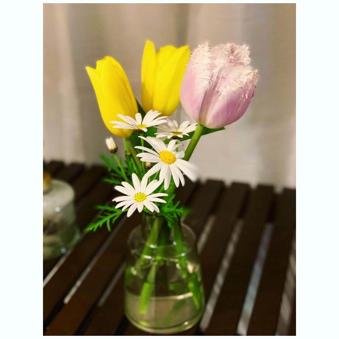 三倉茉奈さんのインスタグラム写真 - (三倉茉奈Instagram)「姪っ子が選んで買ってきてくれたお花ーー！チューリップ可愛い！お花みてーー！と嬉しそうに持ってきてくれた✨最近お花をいただく機会が多かったので、お花を自分なりに花瓶に生けることを覚えました。楽しい。 #flower」3月24日 0時13分 - mana_mikura_official