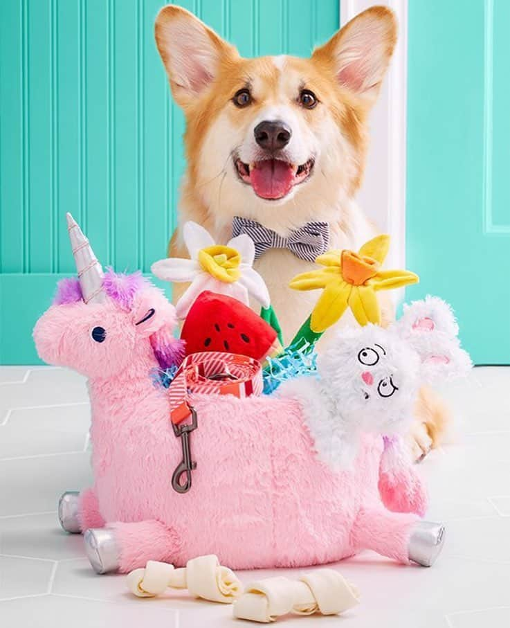 Targetさんのインスタグラム写真 - (TargetInstagram)「Only pet parents understand. Happy #NationalPuppyDay! 🐶 💕」3月24日 0時06分 - target