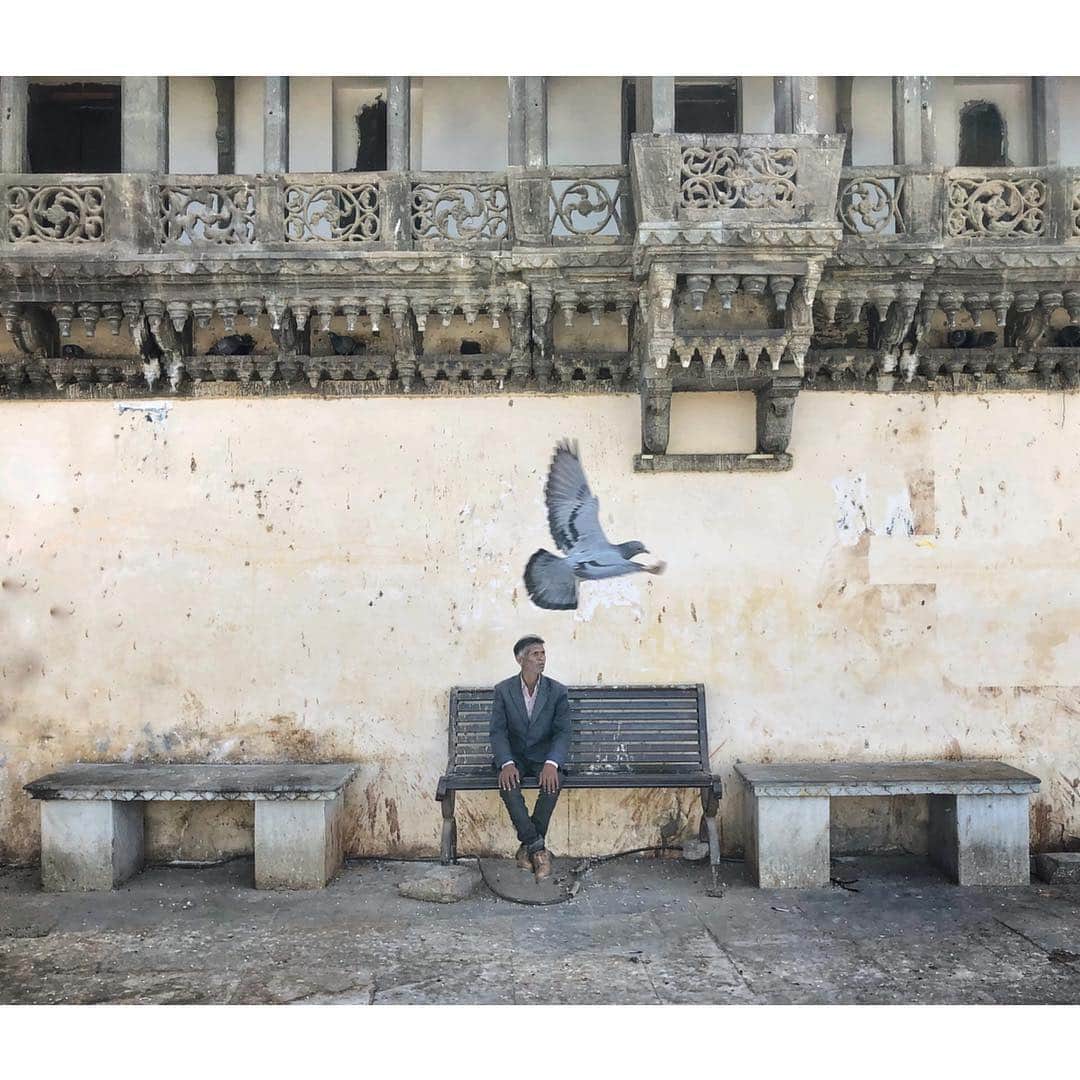 ロドリゴ・プリエトのインスタグラム：「A man and a pigeon」
