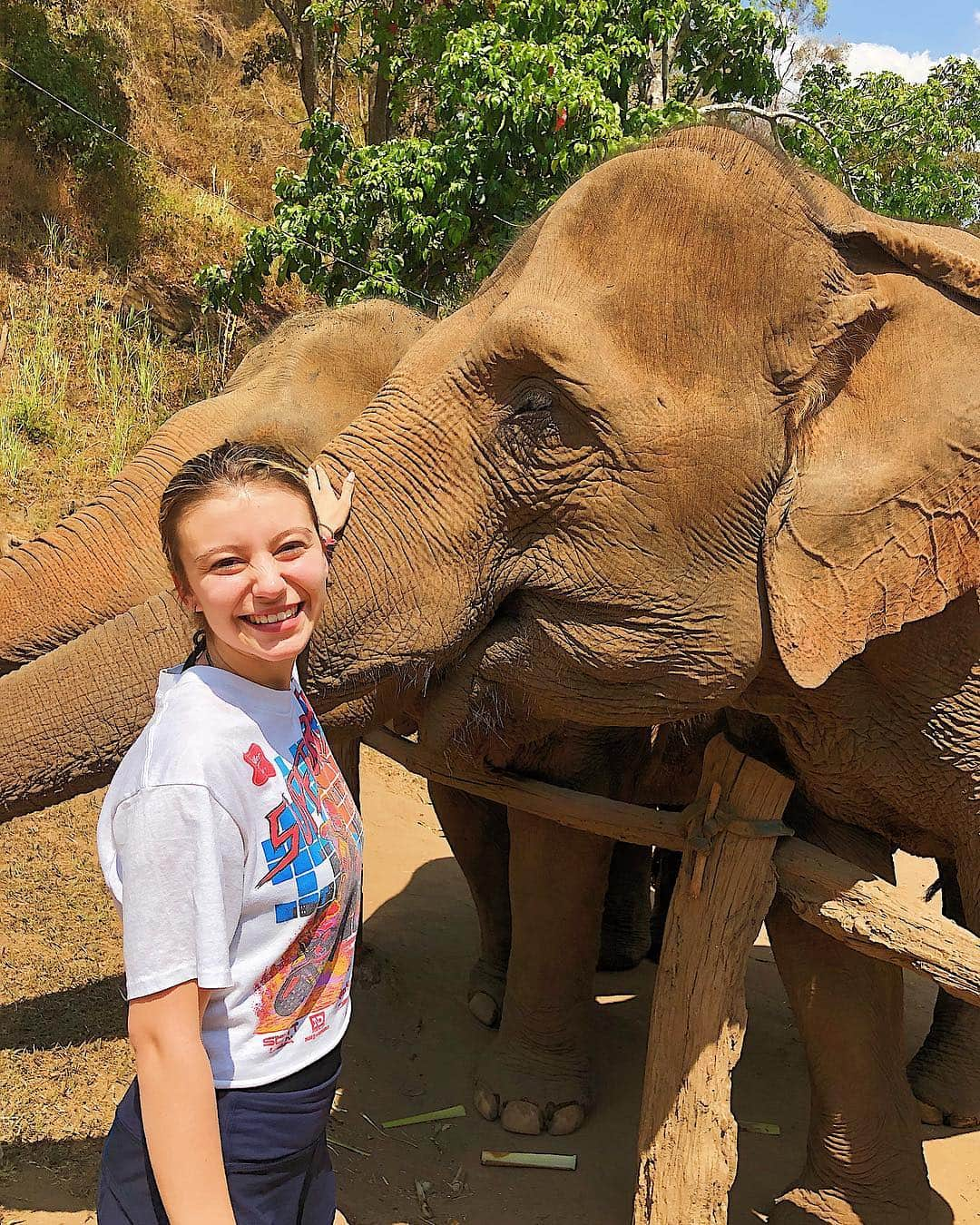 G・ハネリウスさんのインスタグラム写真 - (G・ハネリウスInstagram)「“they look wise because they have wrinkles” -kira 🐘🐘💟」3月24日 0時24分 - ghannelius