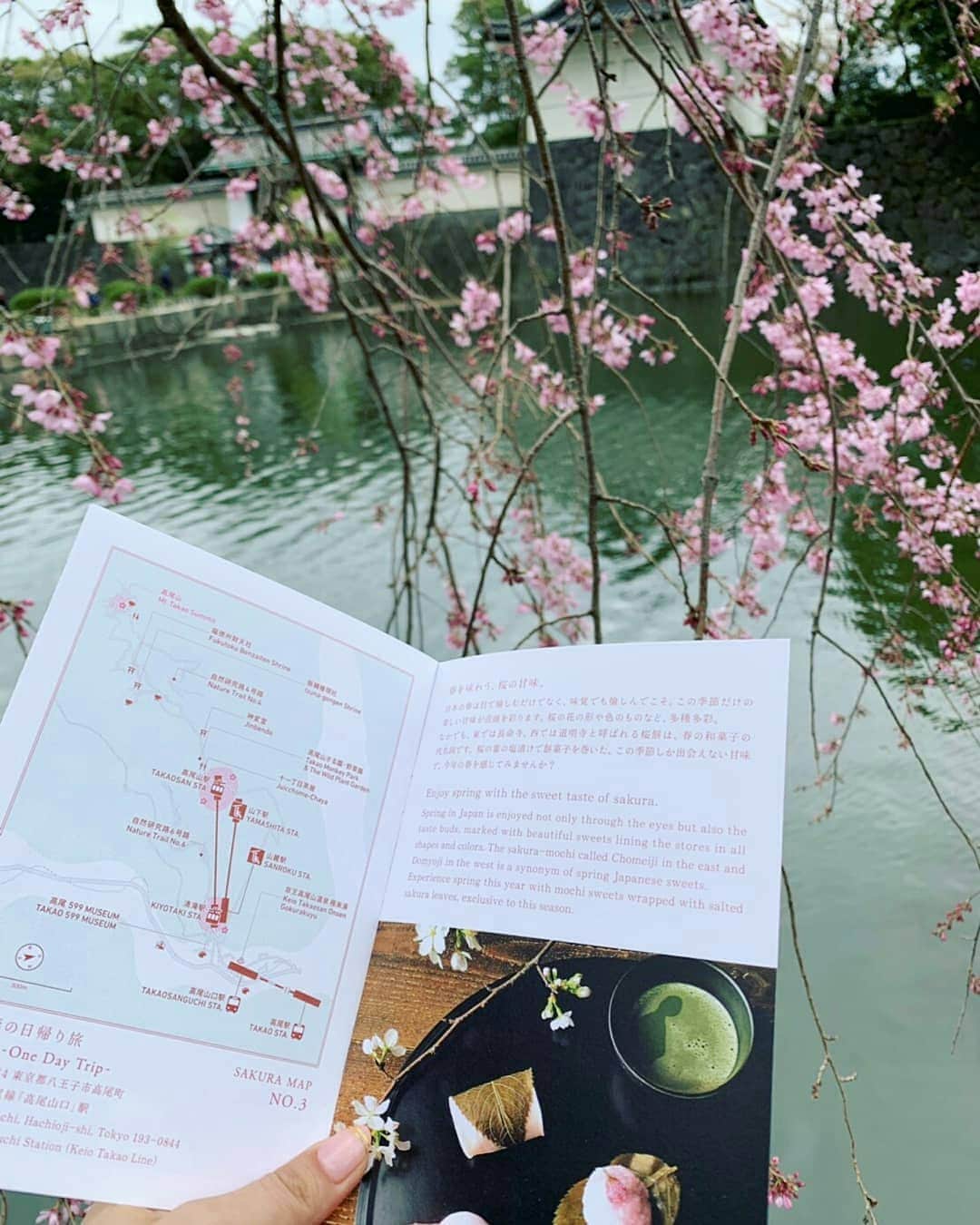 Palace Hotel Tokyo / パレスホテル東京さんのインスタグラム写真 - (Palace Hotel Tokyo / パレスホテル東京Instagram)「Tokyo's sakura viewing season is upon us! If you want to know where to go, or why people in Japan view sakura, stop by at our concierge desk for our Sakura Map introducing the highlight of Japanese spring. 桜の開花も発表され、東京ではいよいよ本格的なお花見シーズン。パレスホテル東京では、都内のお花見スポットや歴史、春の味わいなどを紹介したマップをご用意いたしました。  #sakura #cherryblossom #sakuraviewing #sakuramap #hanami #pinkflowers #japanesespring #HeartofJapan #expolingtokyo #exploringjapan #lhwtraveler #uncommontravel #leadinghotelsoftheworld #Marunouchi #Otemachi #PalaceHotelTokyo #桜 #さくら #サクラ #桜開花 #お花見 #春の香り #日本の春 #美しい日本 #お花見シーズン #丸の内 #大手町 #パレスホテル東京」3月24日 10時52分 - palacehoteltokyo