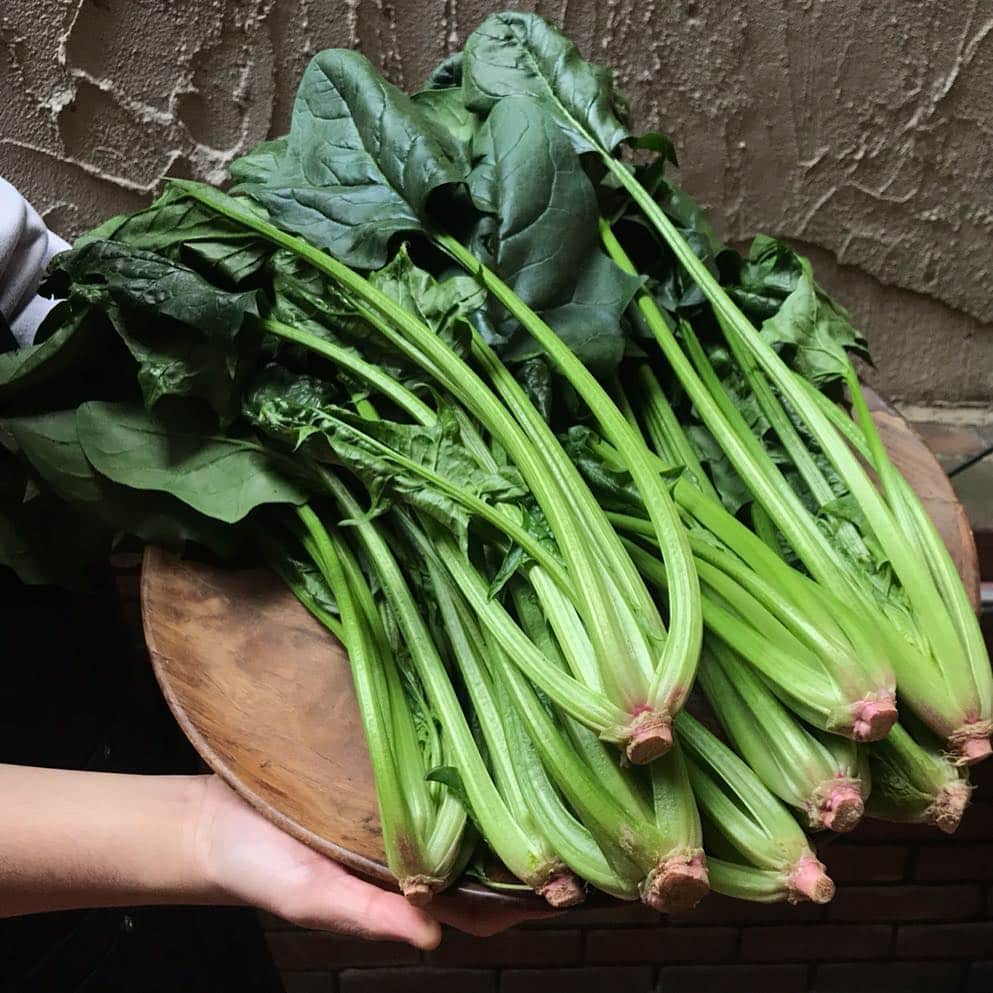 ORGANIC TABLE BY LAPAZのグルメインスタ