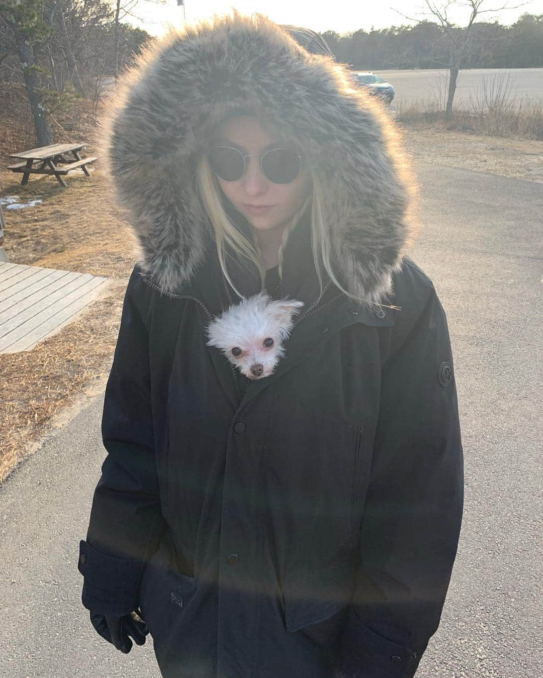 テイラー・モンセンさんのインスタグラム写真 - (テイラー・モンセンInstagram)「So...#nationalpuppyday #tpr4 #walk #cold」3月24日 11時04分 - taylormomsen