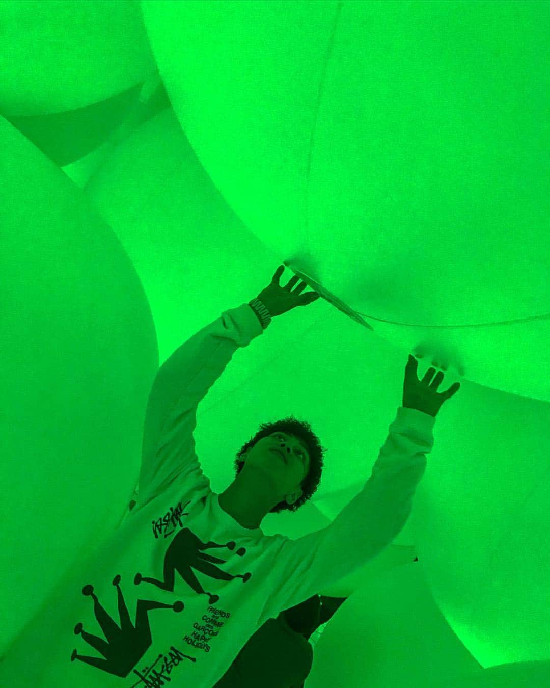 のインスタグラム：「#teamlab 🍀🦋🌸」