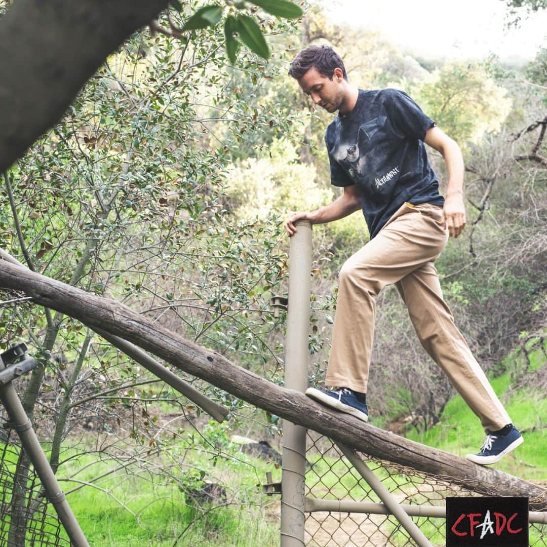 オルタモントのインスタグラム：「Get exploring w/ the Altamont X @mountainartwear collab tee 🦇 // #CFADC」