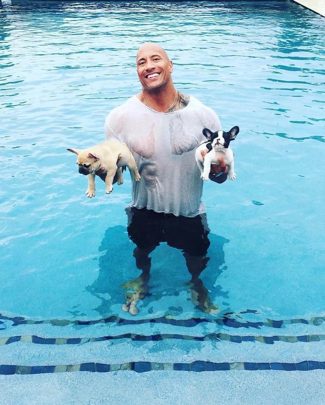 E! Onlineさんのインスタグラム写真 - (E! OnlineInstagram)「Celeb guys and puppies. That's all you need on #NationalPuppyDay. (📷: @kjapa, @therock, @liamhemsworth, Getty Images)」3月24日 5時03分 - enews