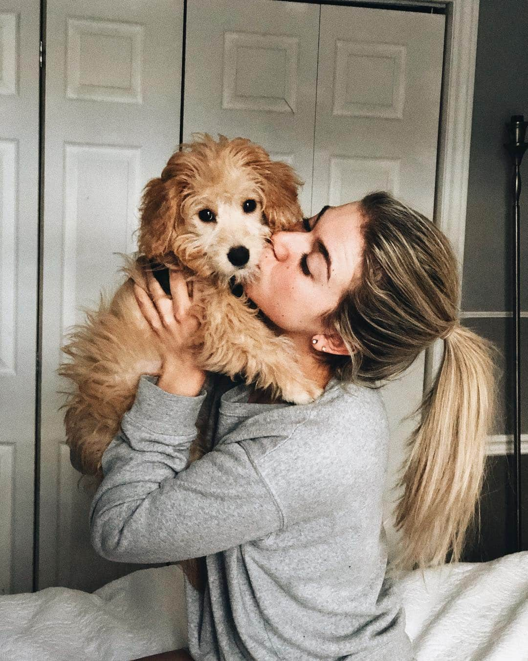 ニキ・ヴォリーズさんのインスタグラム写真 - (ニキ・ヴォリーズInstagram)「All I need is some sweaters and fluffy friendss !! #fluffy #puppy #puppylover #blondehair #goodboi #photography #insta #portraitphotography #neednoman #havepuppyinstead !!」3月24日 5時15分 - nikiwories