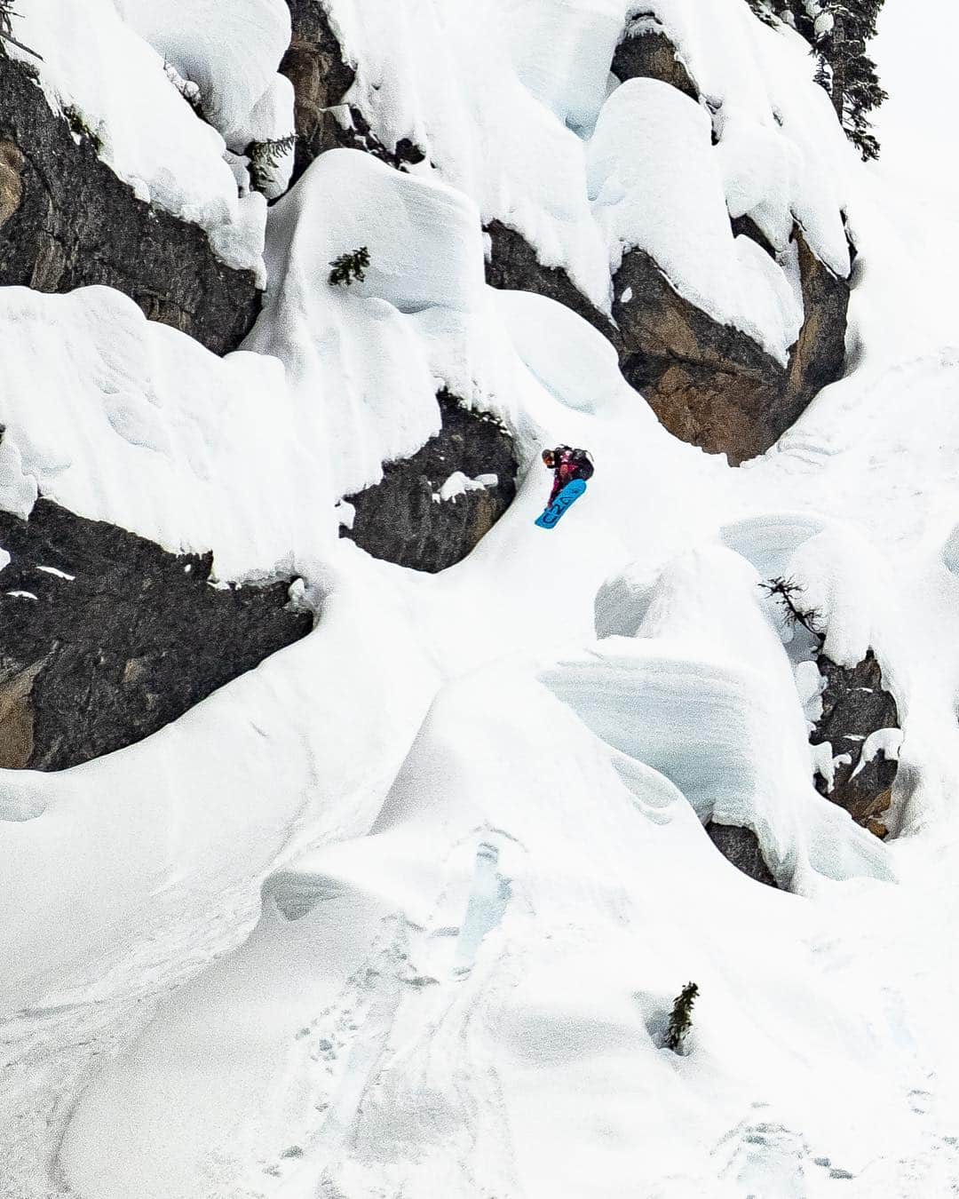 ジェイミー・アンダーソンのインスタグラム：「Pillow popper from Revelstoke last week ❄️📷 @justinkious」