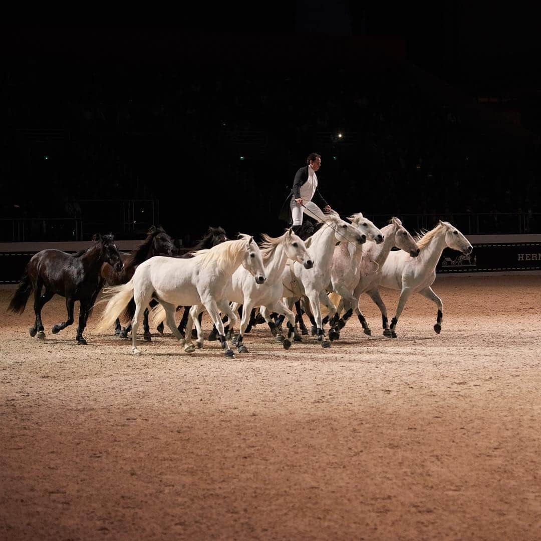 エルメスさんのインスタグラム写真 - (エルメスInstagram)「Introducing Lorenzo, the horseman  #SautHermes」3月24日 6時30分 - hermes