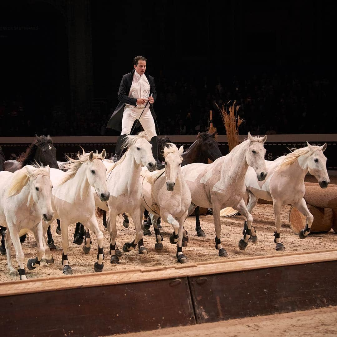 エルメスさんのインスタグラム写真 - (エルメスInstagram)「Introducing Lorenzo, the horseman  #SautHermes」3月24日 6時30分 - hermes