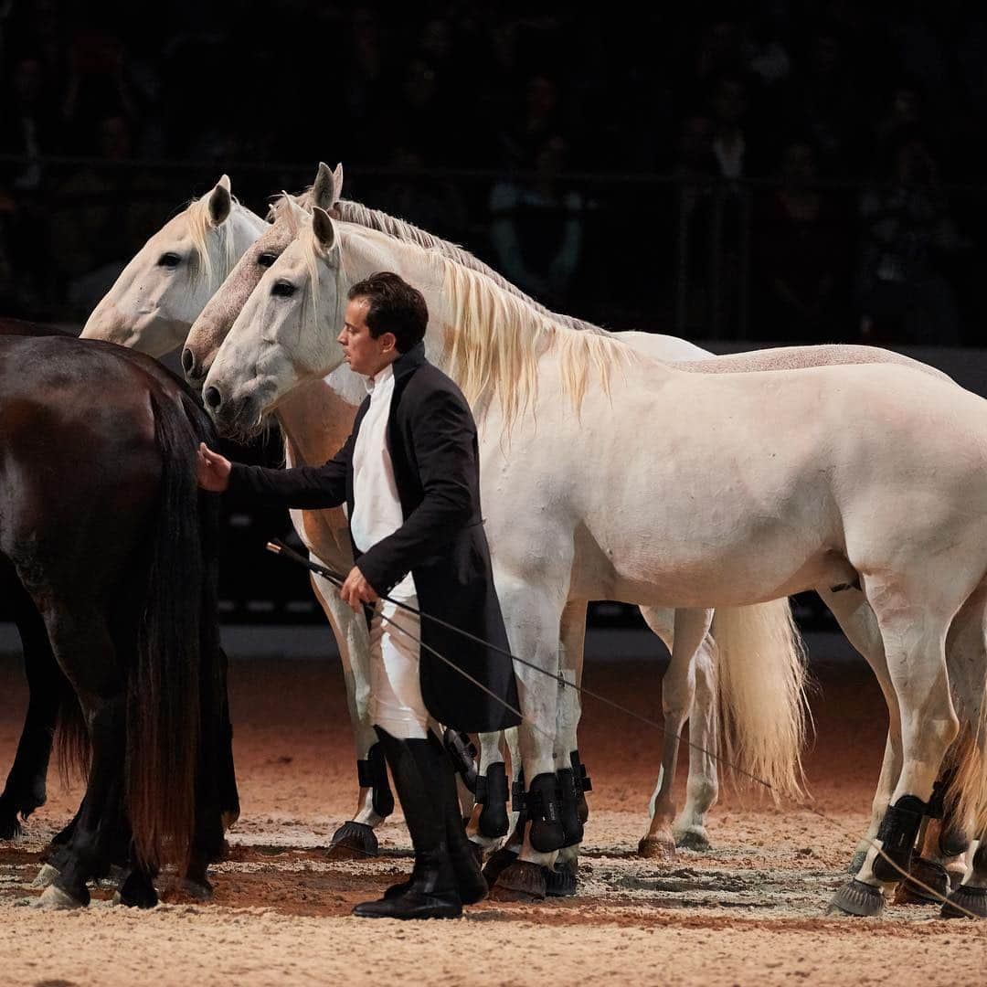 エルメスさんのインスタグラム写真 - (エルメスInstagram)「Introducing Lorenzo, the horseman  #SautHermes」3月24日 6時30分 - hermes