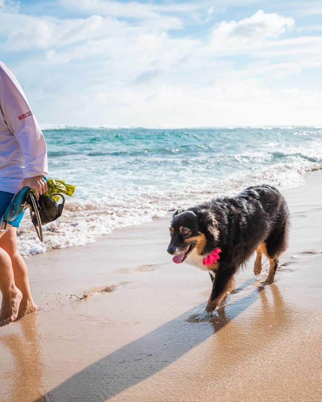 Popits Hawaiiさんのインスタグラム写真 - (Popits HawaiiInstagram)「⛱️Let's go for a walk on the beach🌺⁣ ⁣ ⁣ #oahu #ocean #luckywelivehawaii #ハワイ #lethawaiihappen #vacation #popitshawaii #sea #beachlife #paradise #wanderlust #ワイキキ #ワイキキビーチ #aloha #themoderndayexplorer #calmwaters」3月24日 7時00分 - popitshawaii