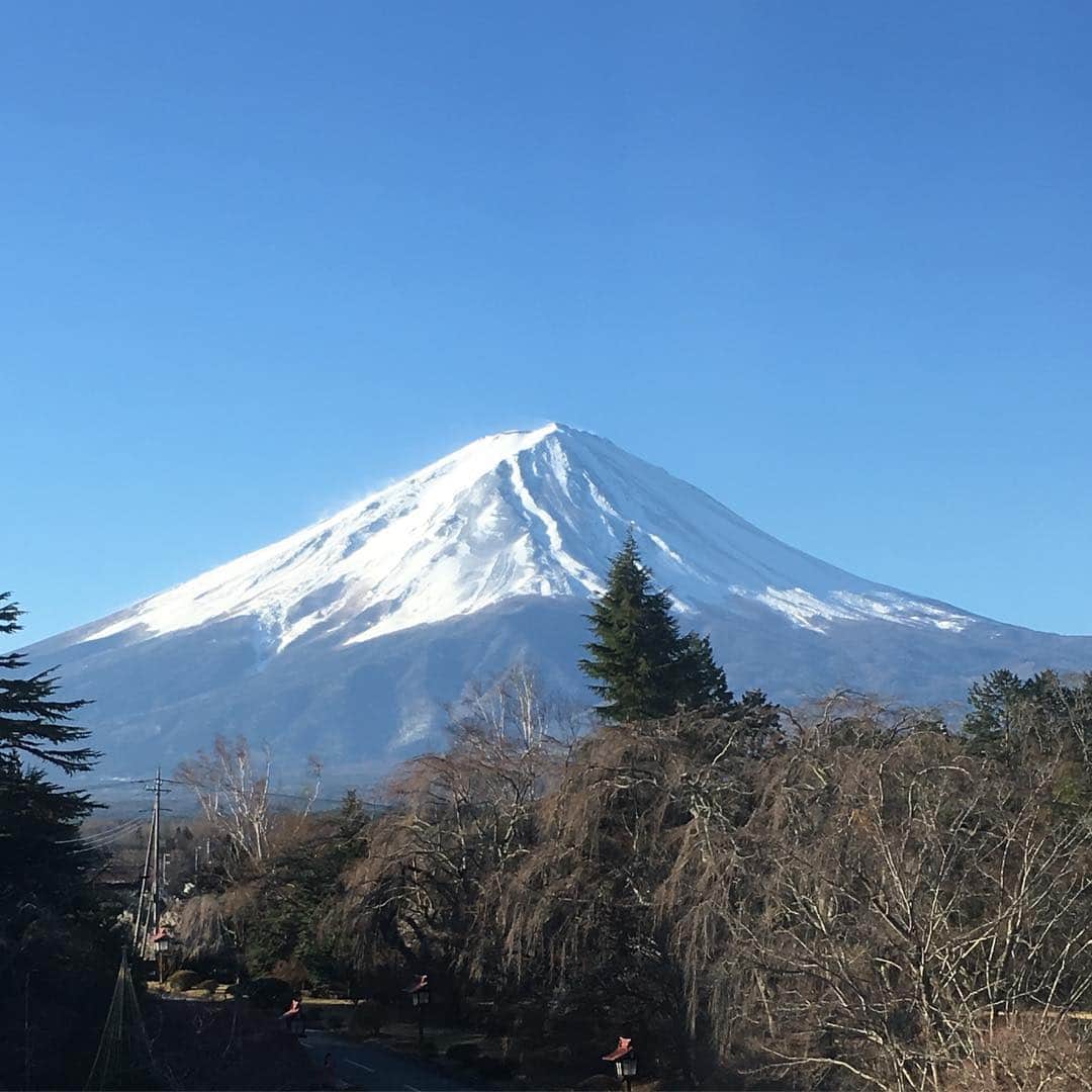 大鋸一正のインスタグラム：「おはようございます。」
