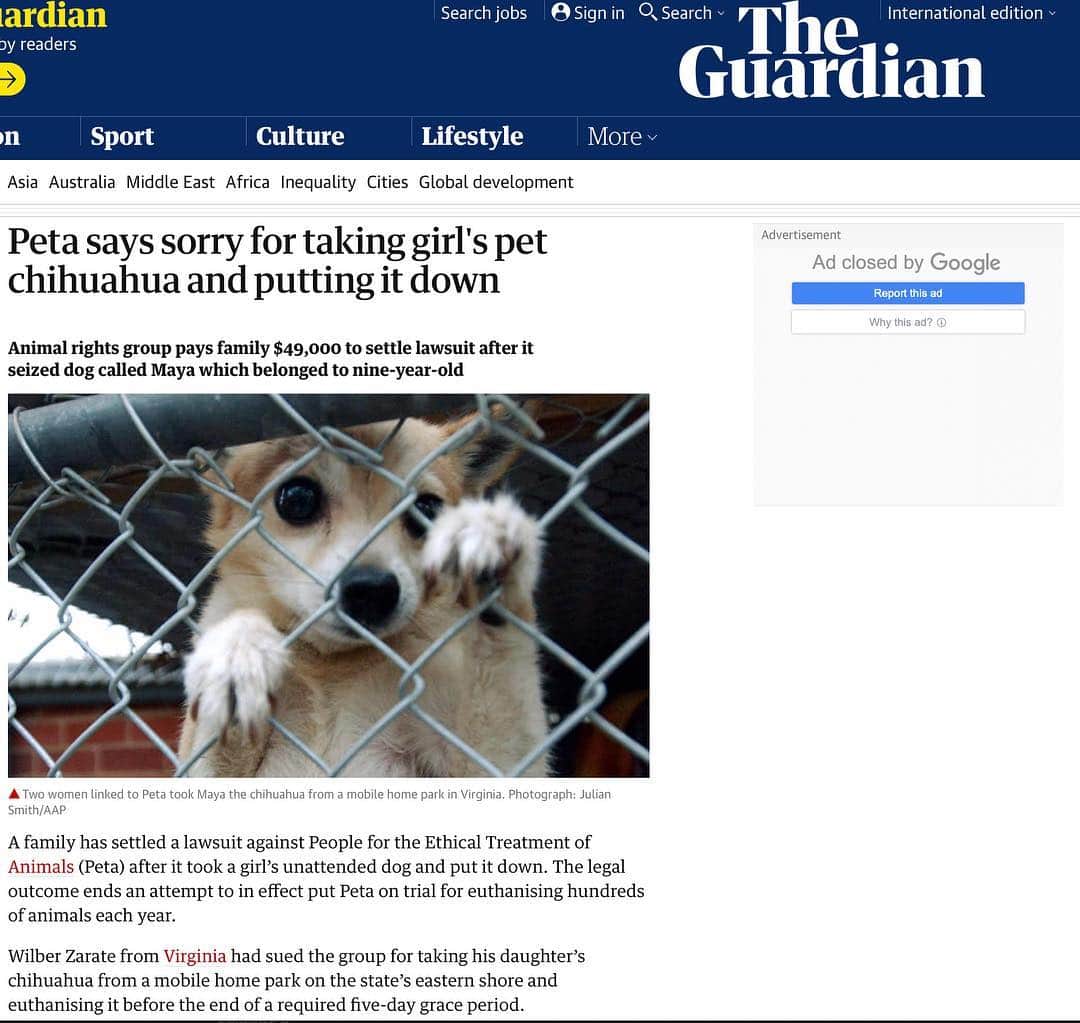 Black Jaguar-White Tiger さんのインスタグラム写真 - (Black Jaguar-White Tiger Instagram)「SO PETA STOLE THIS CHIHUAHUA FROM A HOUSE, KILLED HER AND HAD TO SETTLE... @peta . .  PETA HAS KILLED 84.5 percent of Animals received by them since it was created. In 2018, they received 56 million dollars in donations. In the same 2018, THEY KILLED 71.4 percent of the Animals they received. Isn’t it beautiful when the truth comes out?  #PETAKILLS @peta  www.PetaKillsAnimals.com」3月24日 7時43分 - blackjaguarwhitetiger