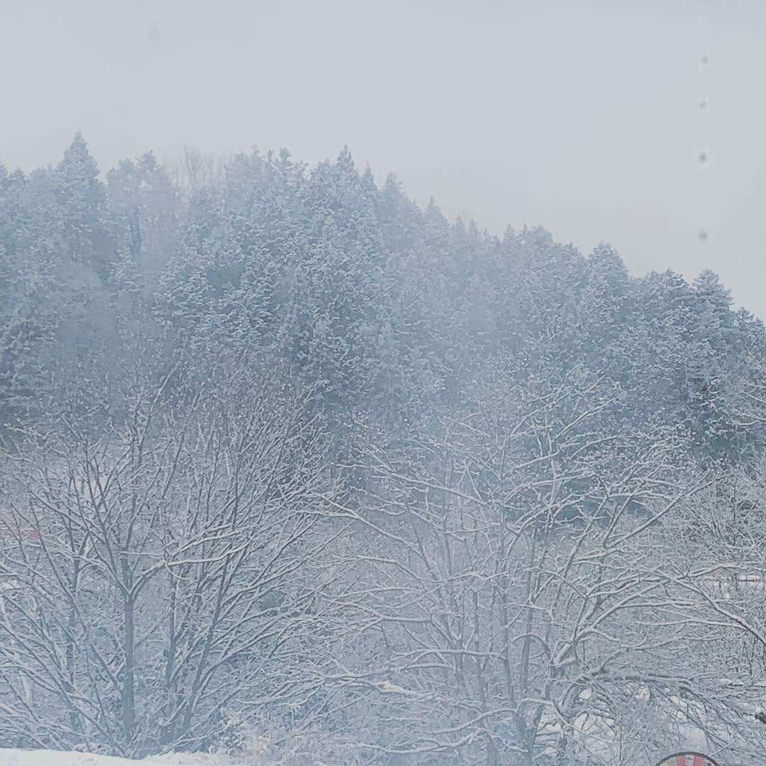 都竹悦子さんのインスタグラム写真 - (都竹悦子Instagram)「なぬっ  #2019年3月24日 #飛騨の雪」3月24日 7時46分 - etsukotsuzuku