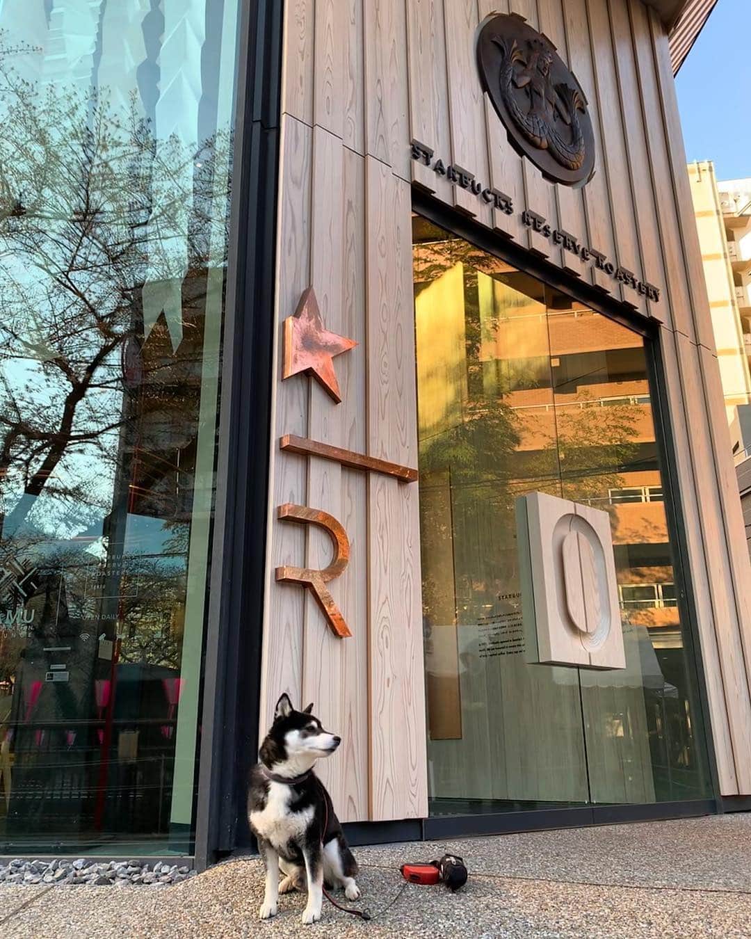 くろのグルメインスタ