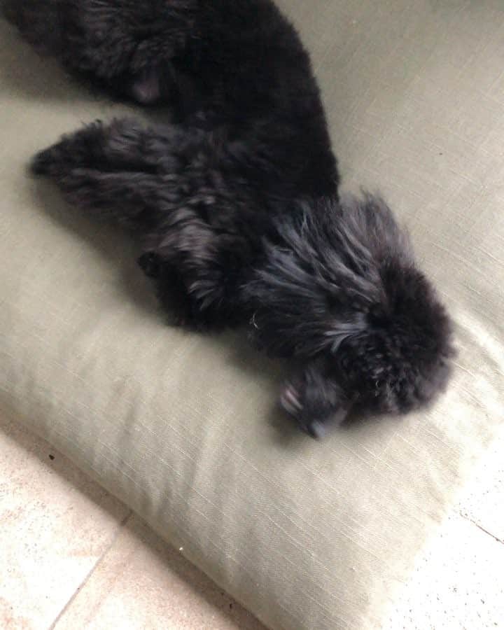ザックポーゼンのインスタグラム