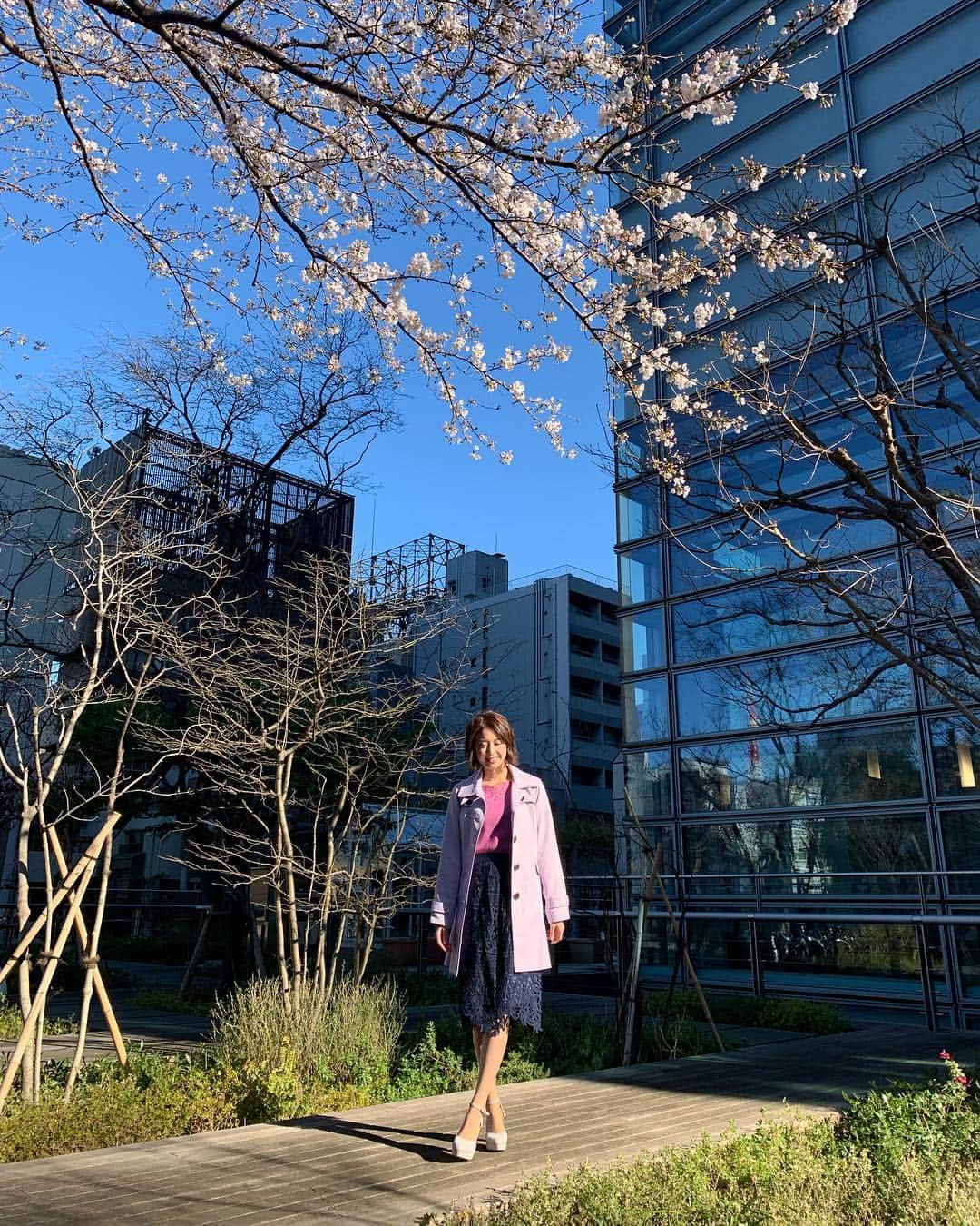 西村まどかのインスタグラム：「きれいに桜が咲いてました🌸 ピンクのトレンチコートが良く合ってる🧥 今日はロケ映像も流れますよー！この後、スタジオ🤤🤟みてください★ #西村まどか #シューイチ #お天気お姉さん #今日はツウマニ #カミナリさんと上重アナと #ロケに行きましたよ #スタジオもチェック🤟 #ワイプ芸人やります」