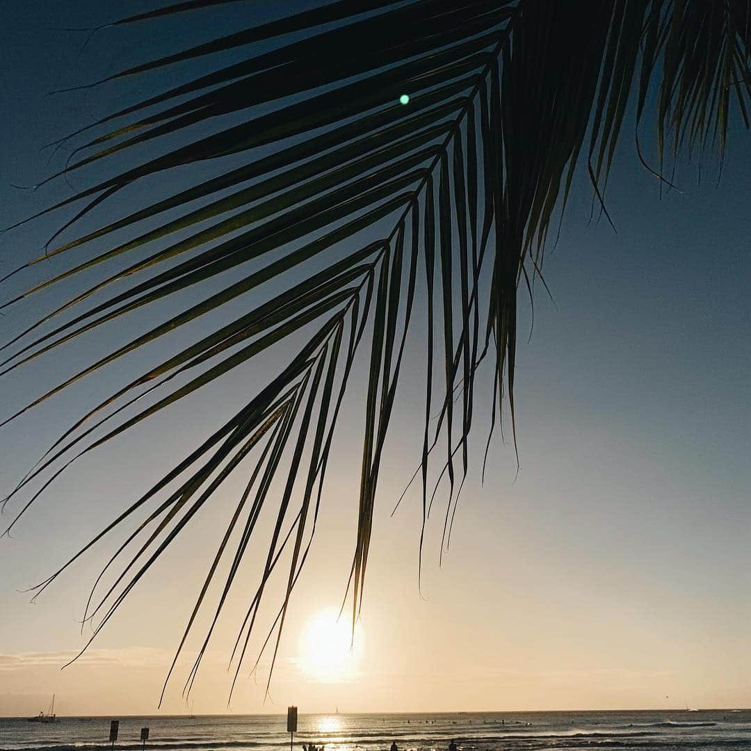清水沙也佳さんのインスタグラム写真 - (清水沙也佳Instagram)「GM🌴🌴 #gm #palmtree #sunset #hawaii #しみさや旅」3月24日 8時35分 - sayaka__shimizu