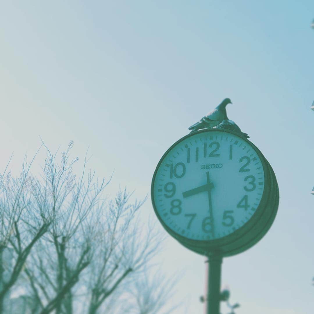 中野敬久さんのインスタグラム写真 - (中野敬久Instagram)「#鳩時計 #pigeon #clock #park #sunday #goodmorning」3月24日 8時36分 - hirohisanakano