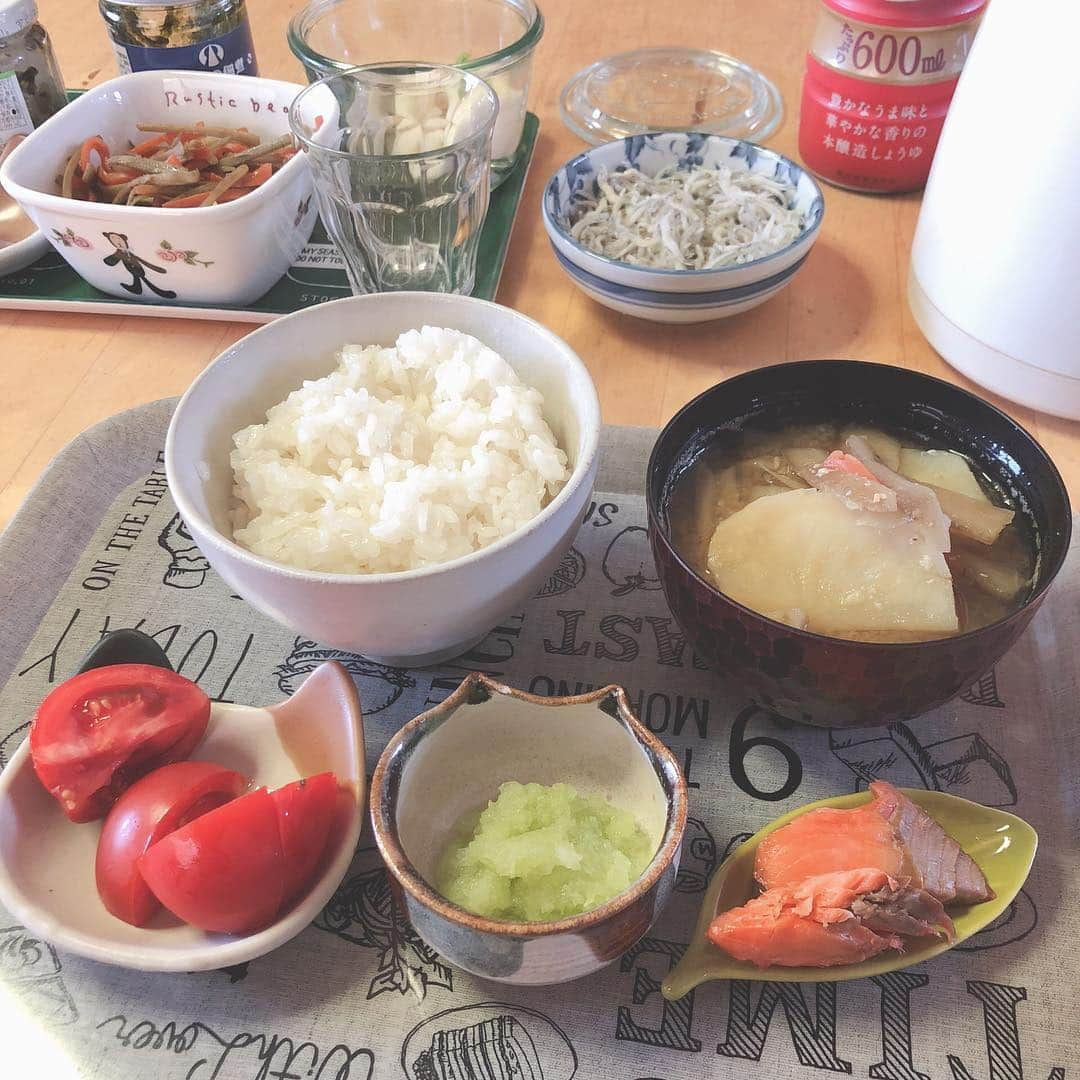 たまたまこさんのインスタグラム写真 - (たまたまこInstagram)「朝飯 チロかわいい」3月24日 9時13分 - tamarikomari