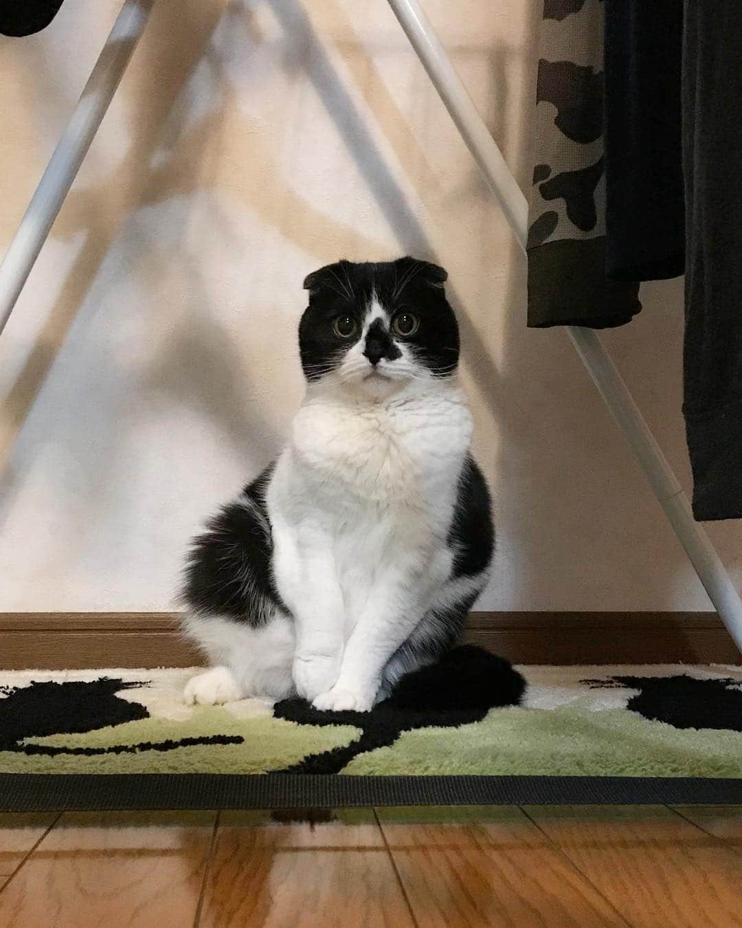 tiaichimaのインスタグラム